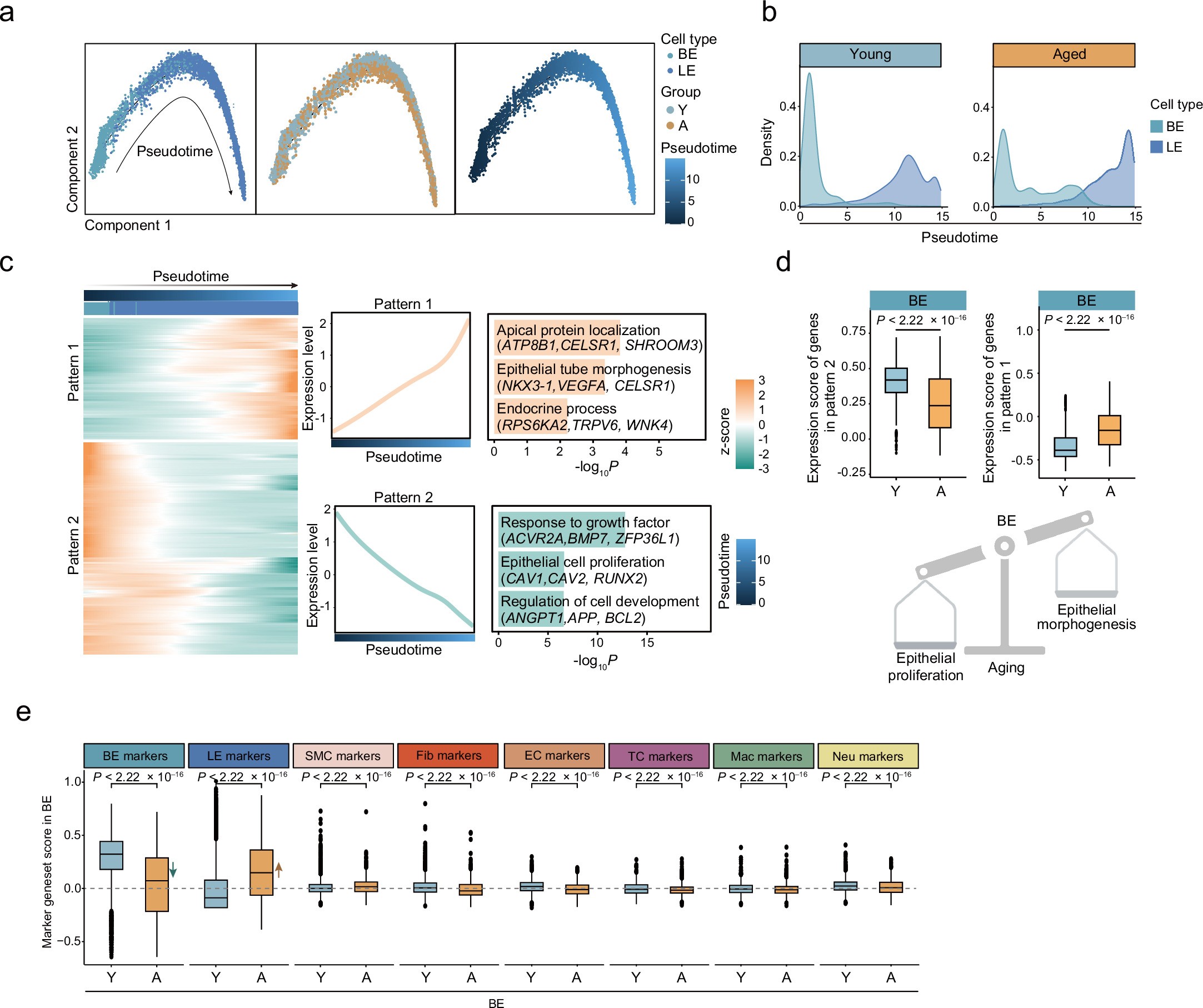 Extended Data Fig. 5