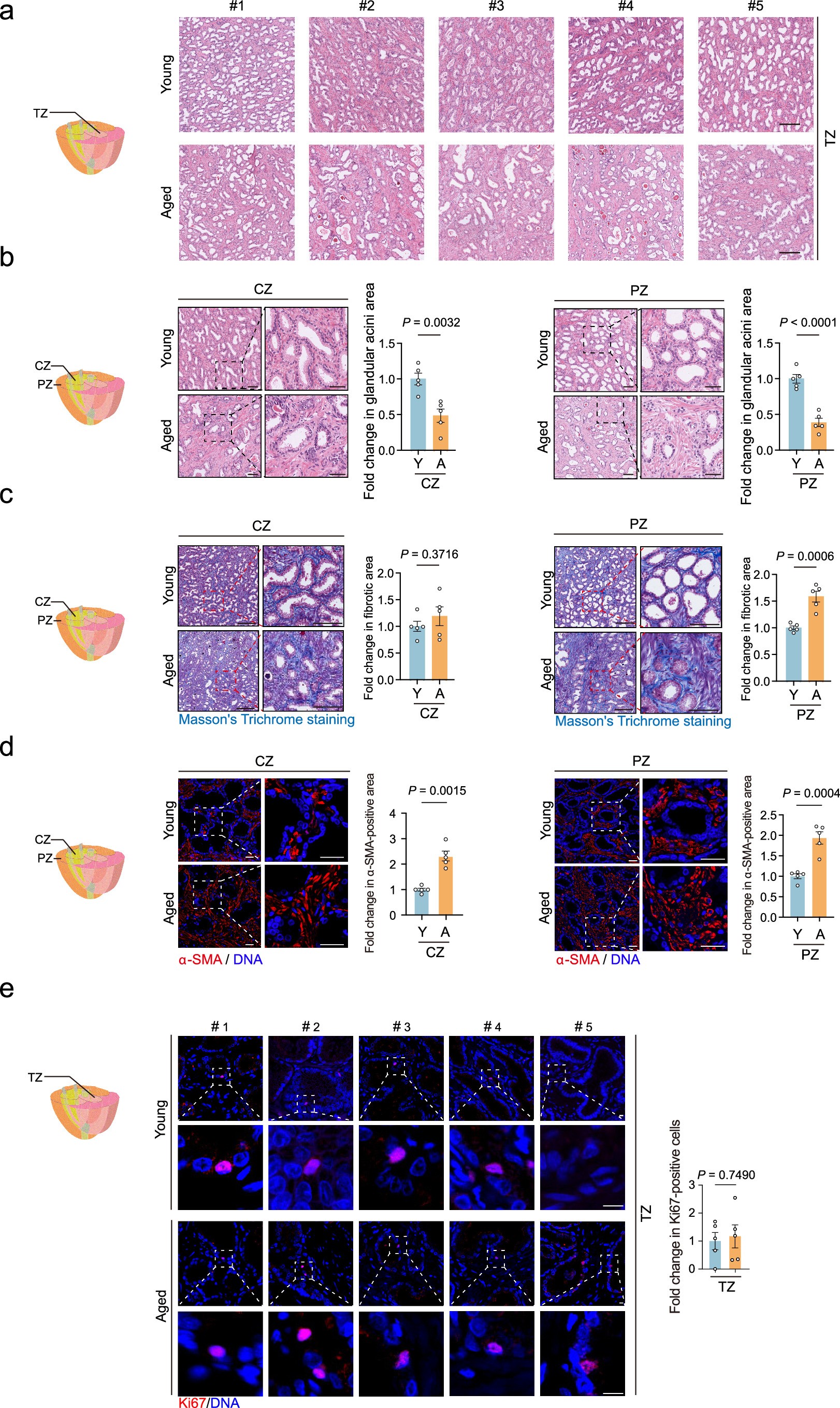 Extended Data Fig. 1
