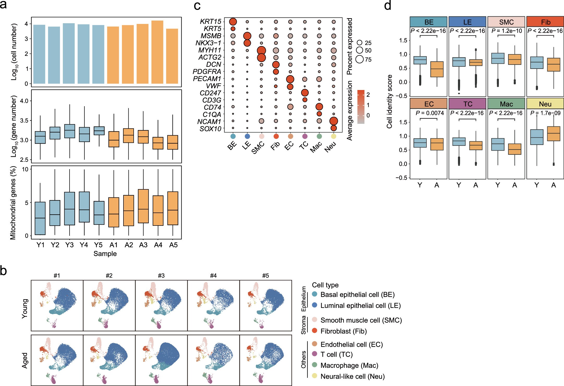 Extended Data Fig. 3