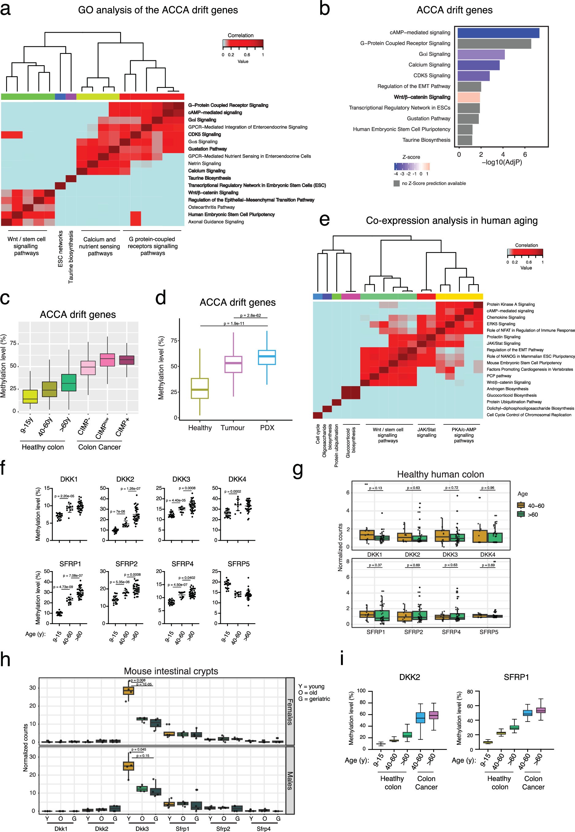 Extended Data Fig. 1: Colon cancer associates with epigenetically drifted cells.