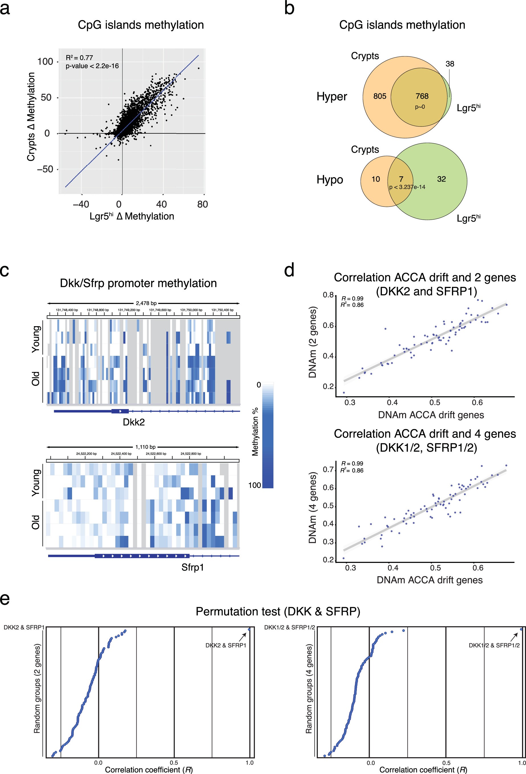 Extended Data Fig. 3: The ACCA drift is conserved in the mouse intestine and originates at the stem cell level.