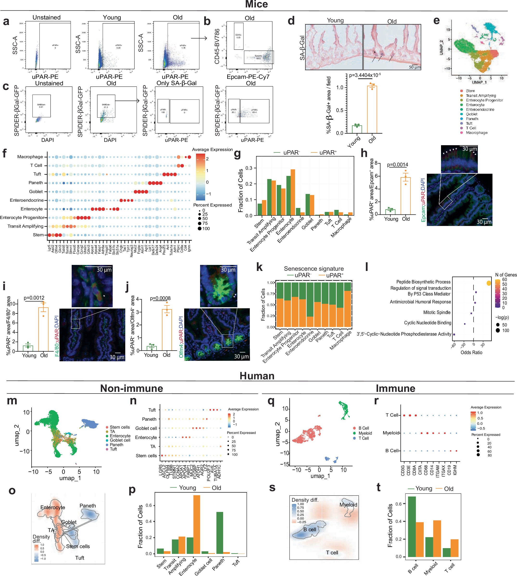 Extended Data Fig. 1