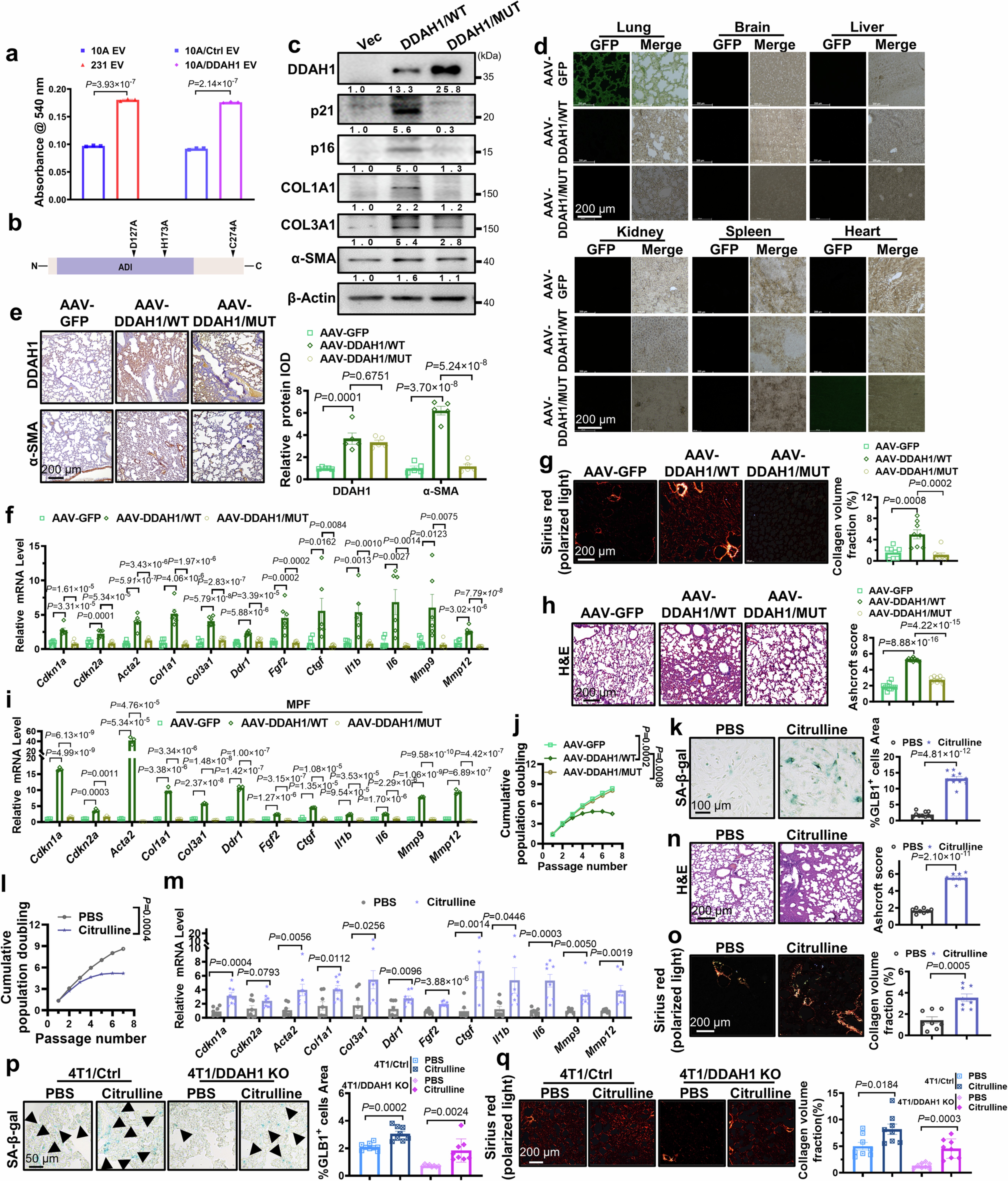 Extended Data Fig. 3