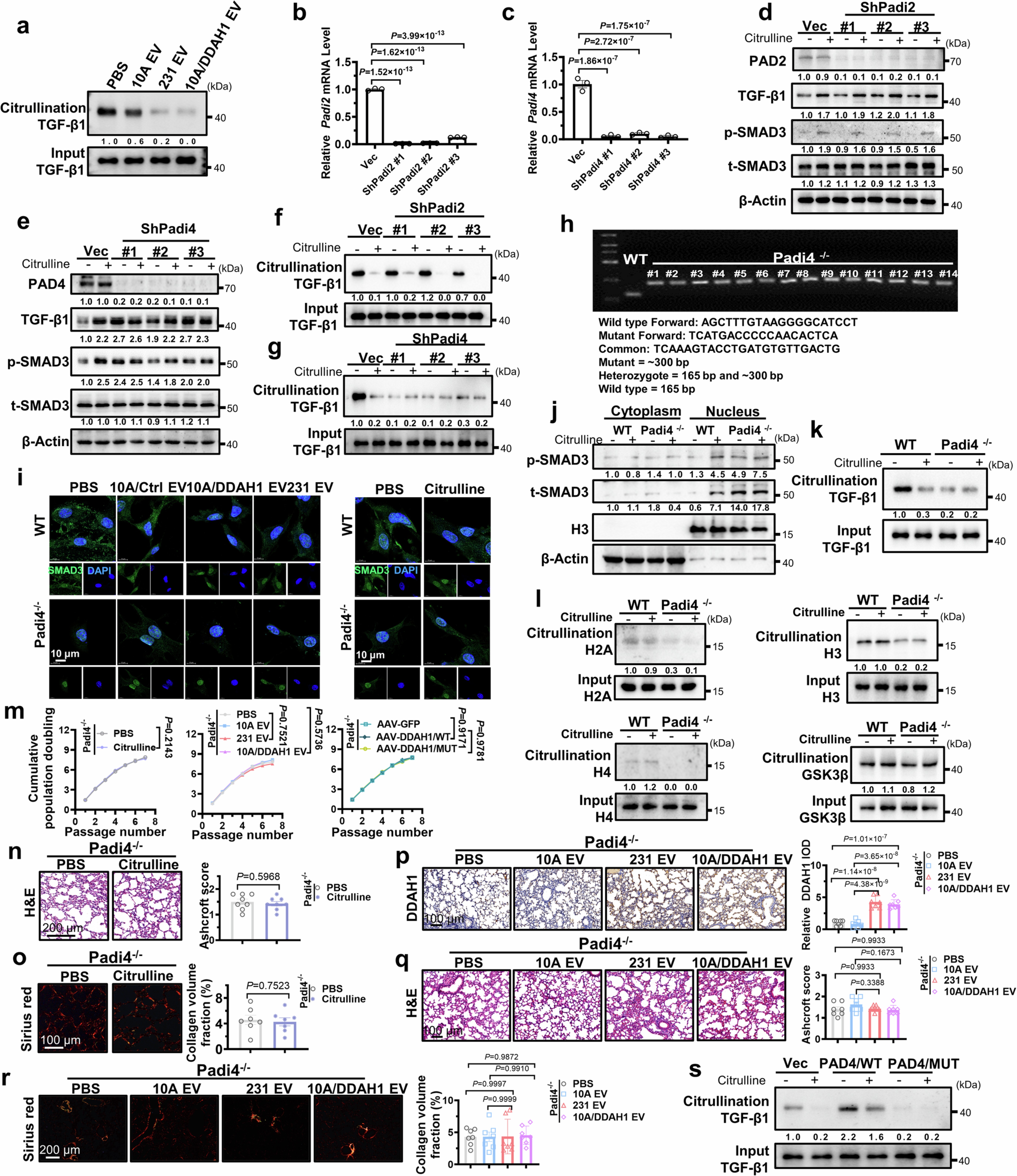 Extended Data Fig. 5