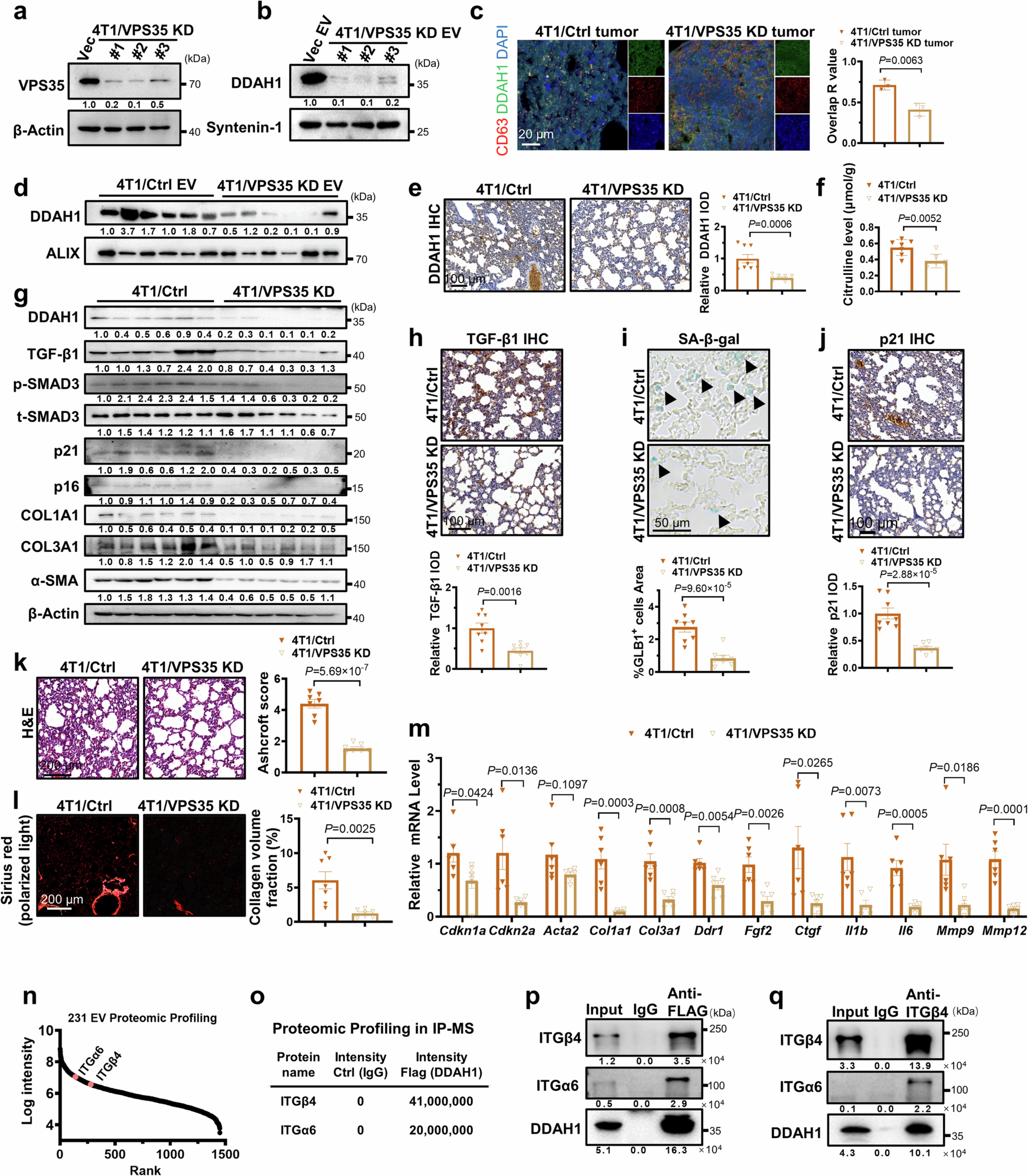 Extended Data Fig. 6