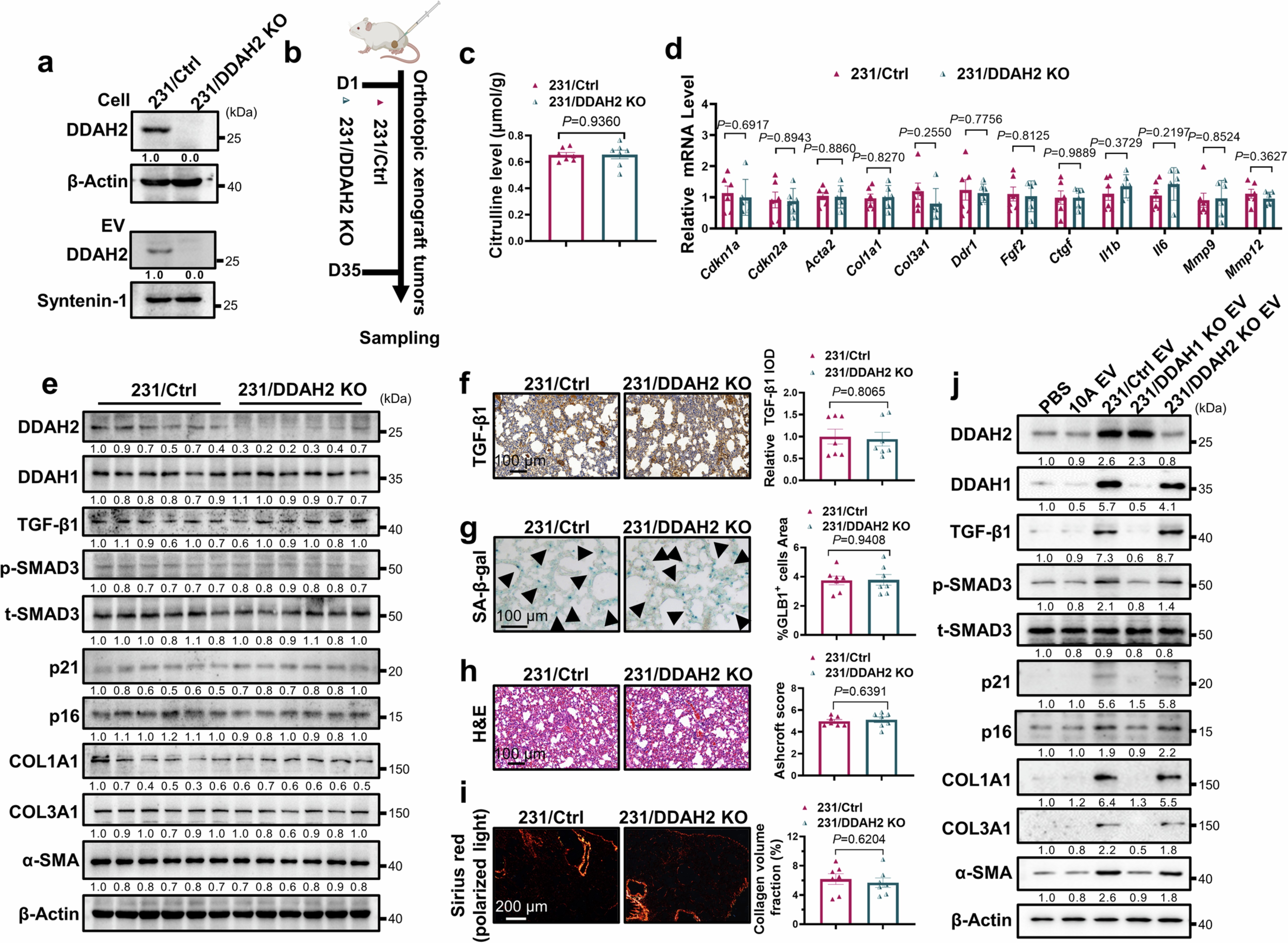 Extended Data Fig. 8