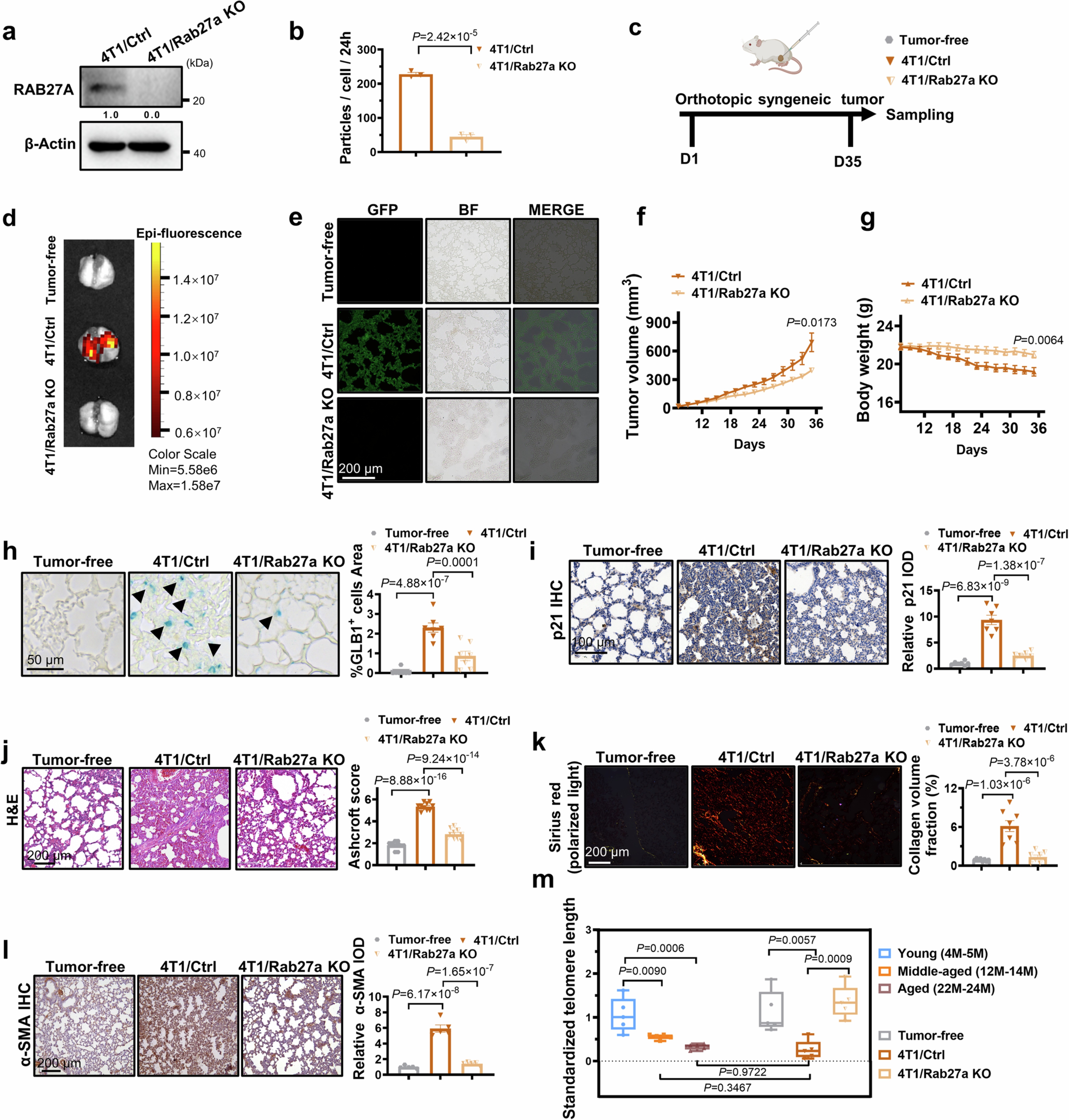 Extended Data Fig. 1