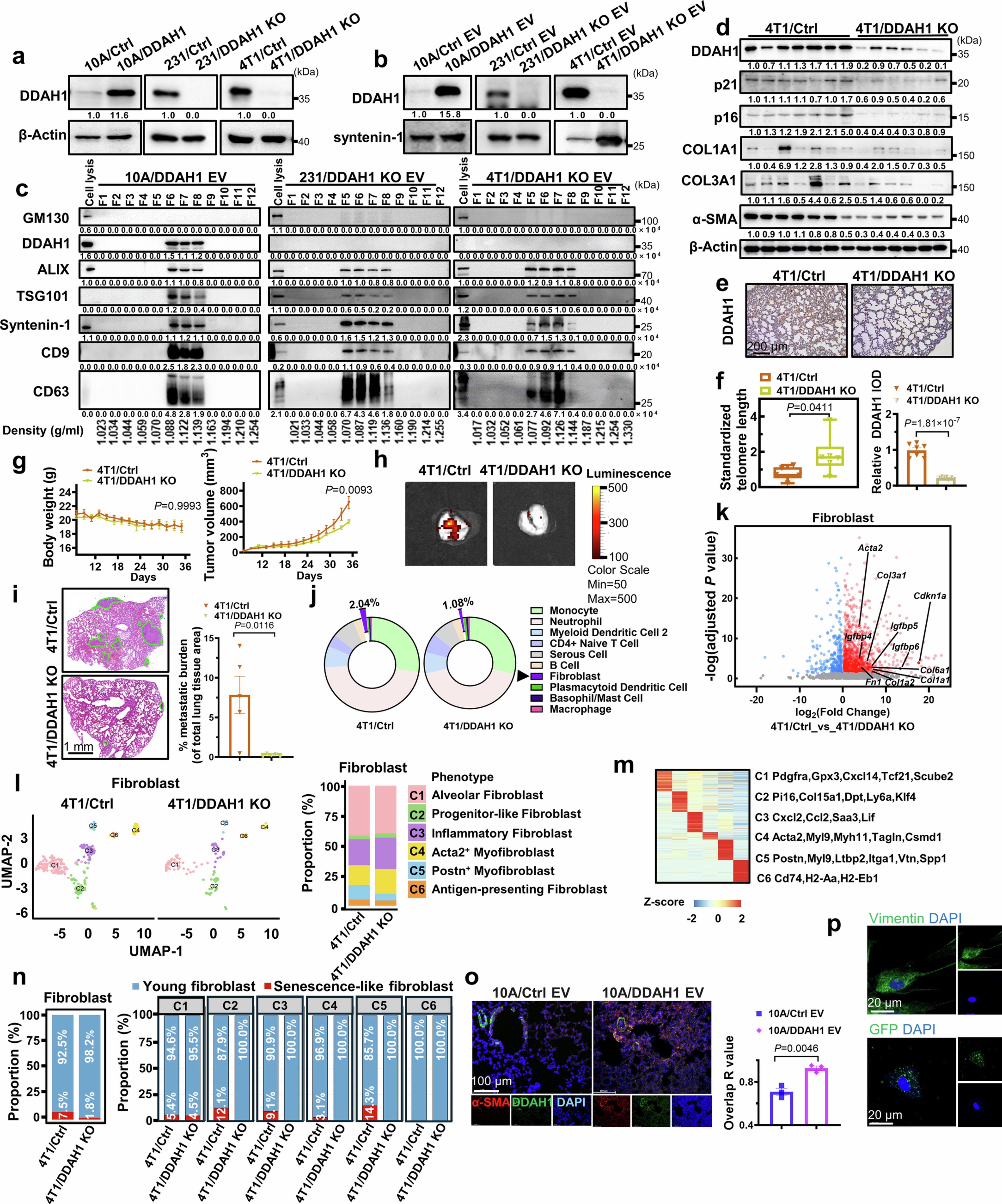 Extended Data Fig. 2