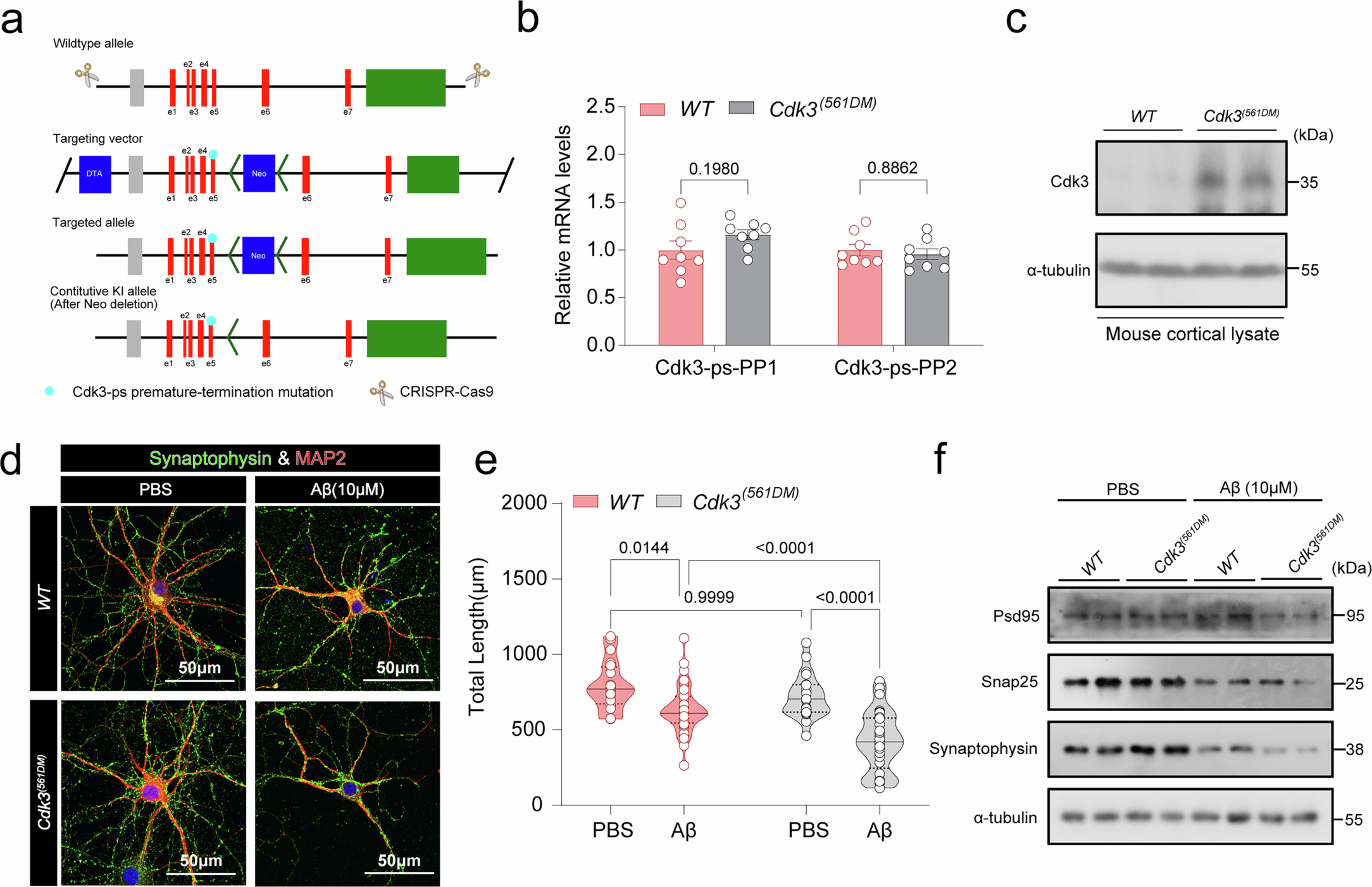 Extended Data Fig. 4