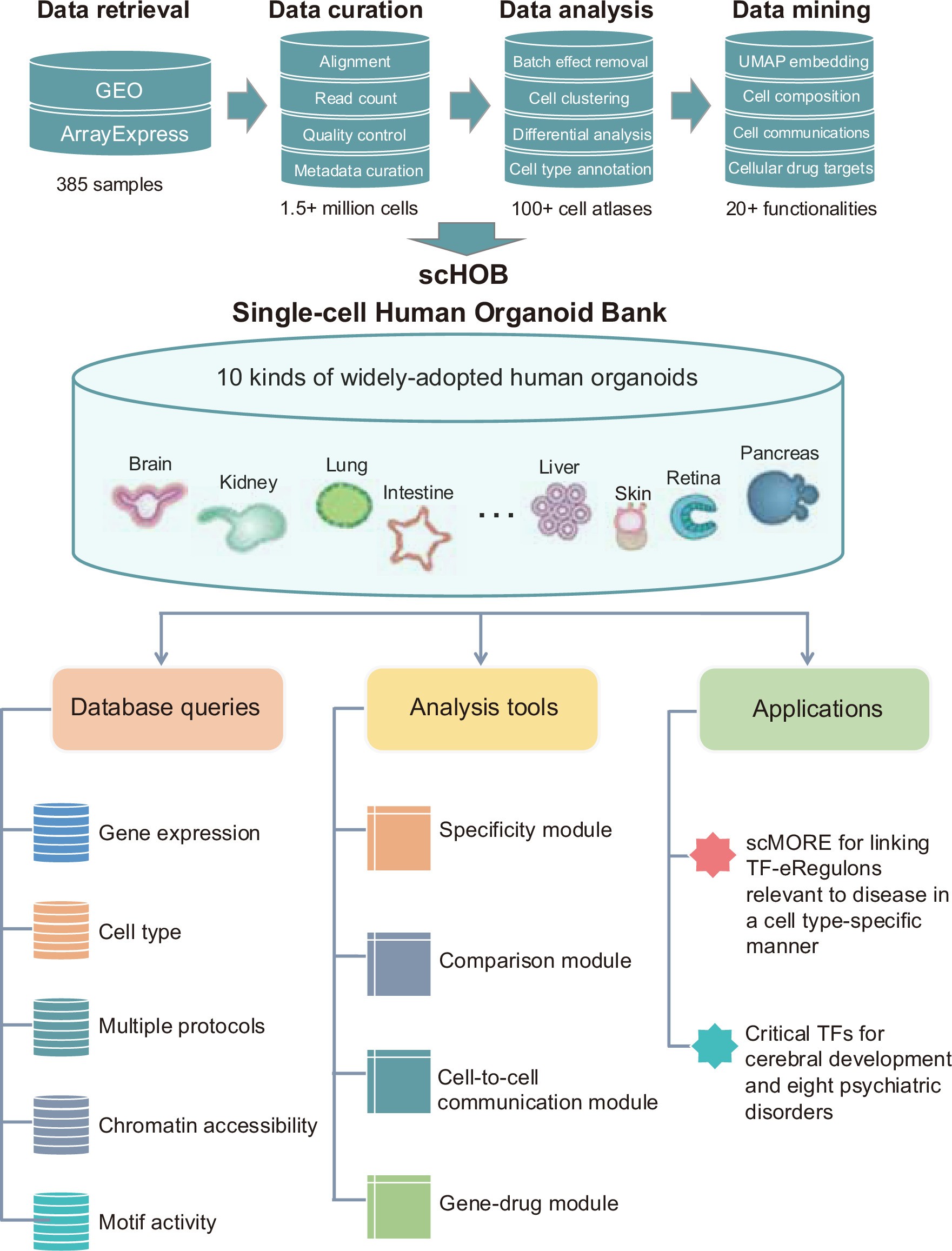 Extended Data Fig. 8