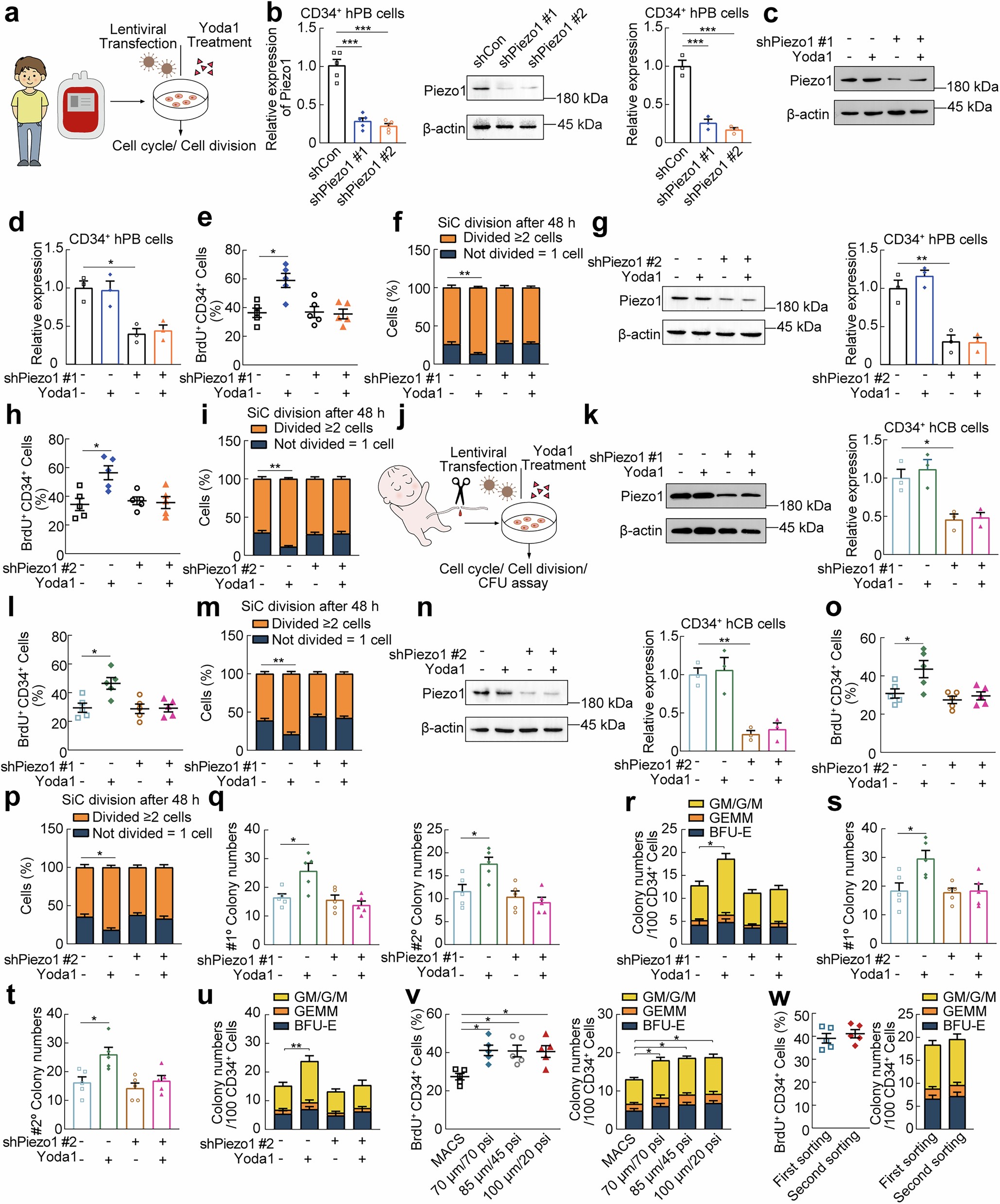Extended Data Fig. 3