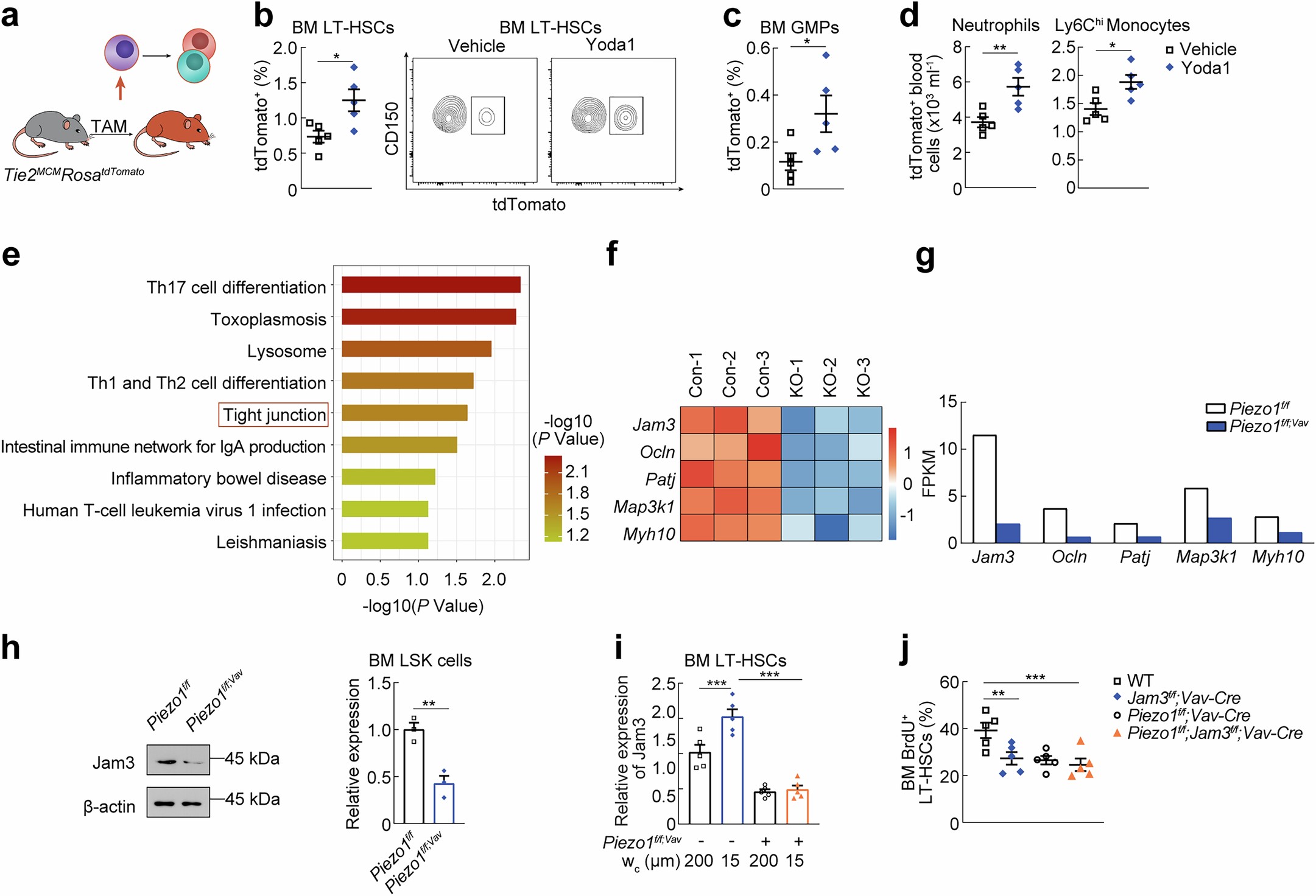 Extended Data Fig. 5