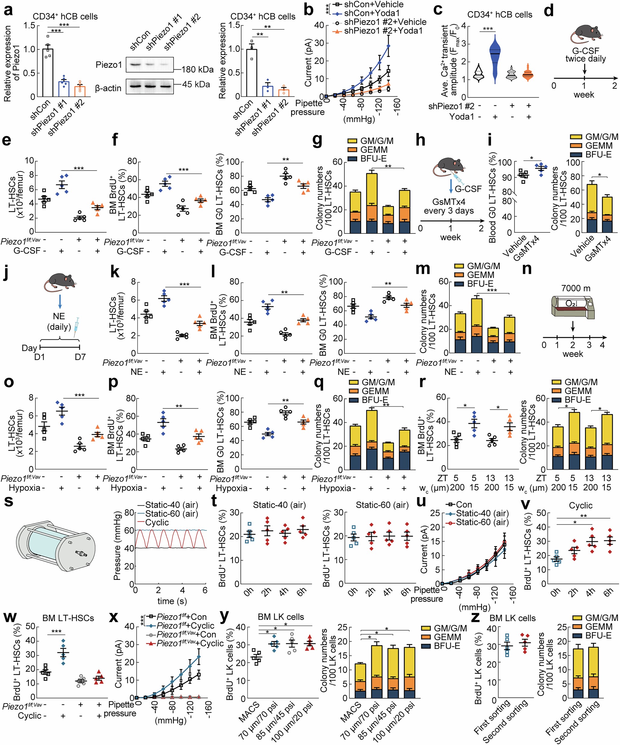 Extended Data Fig. 1