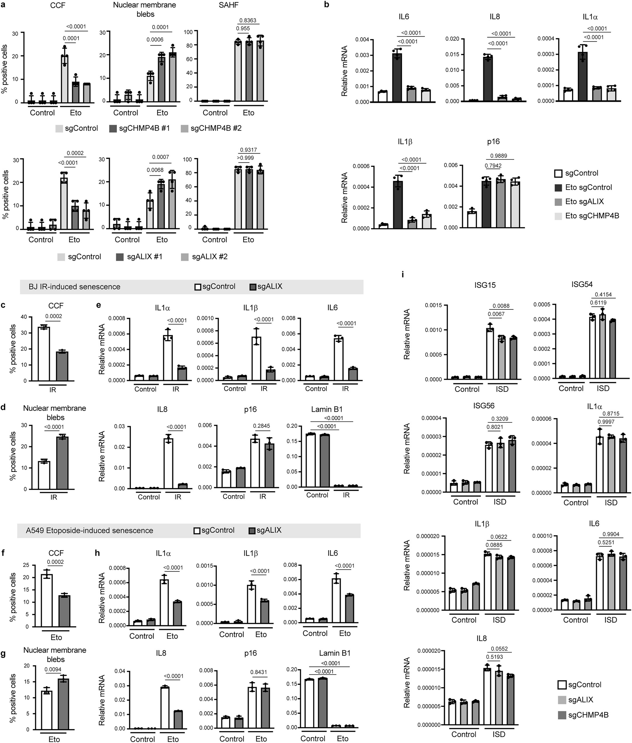 Extended Data Fig. 3: Roles of ESCRT-III in response to senescence and cytosolic dsDNA exposure.