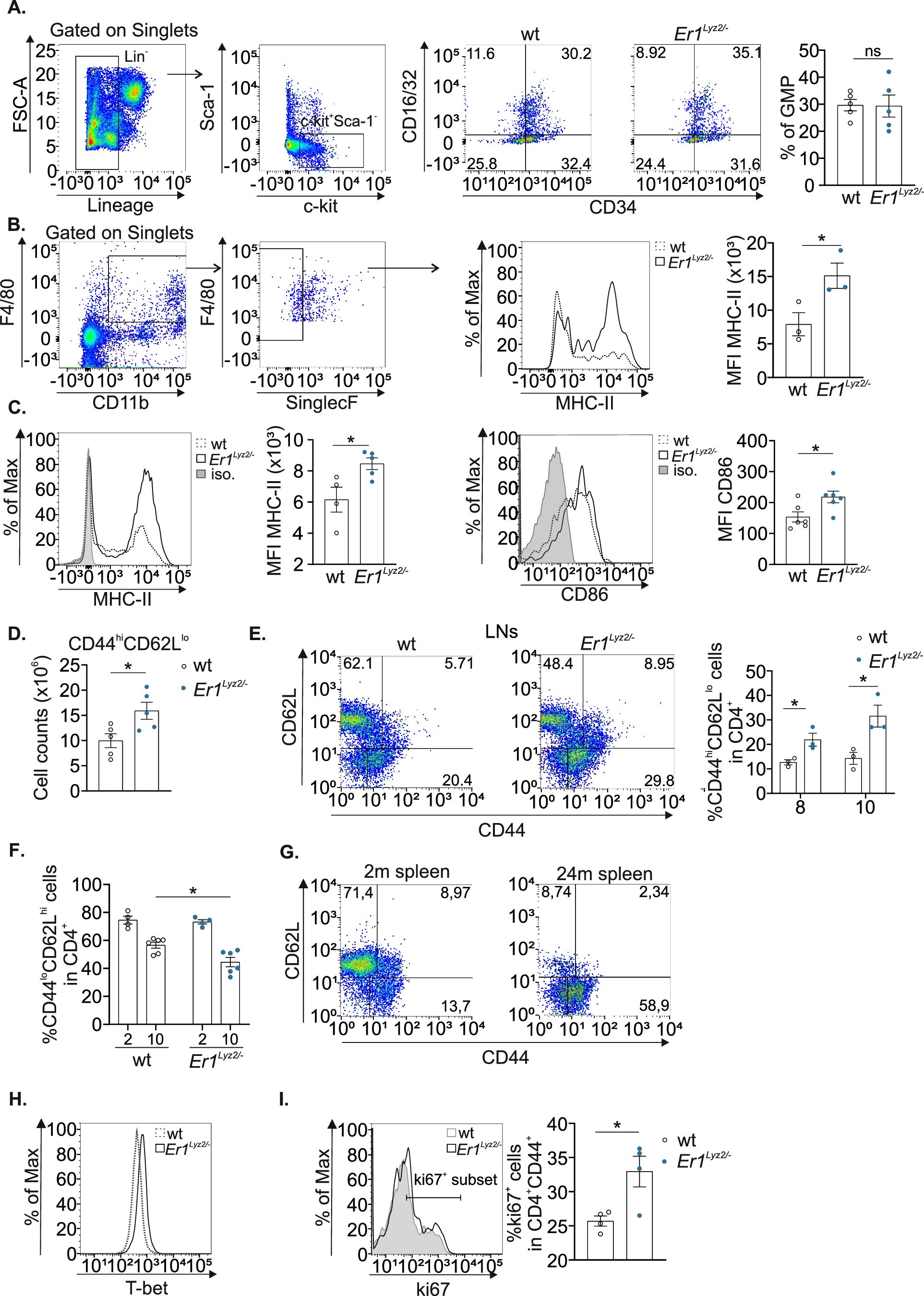 Extended Data Fig. 3: Activated monocytic origin cells and CD4+ T cells in Er1Lyz2/− and in naturally aged wt mice.