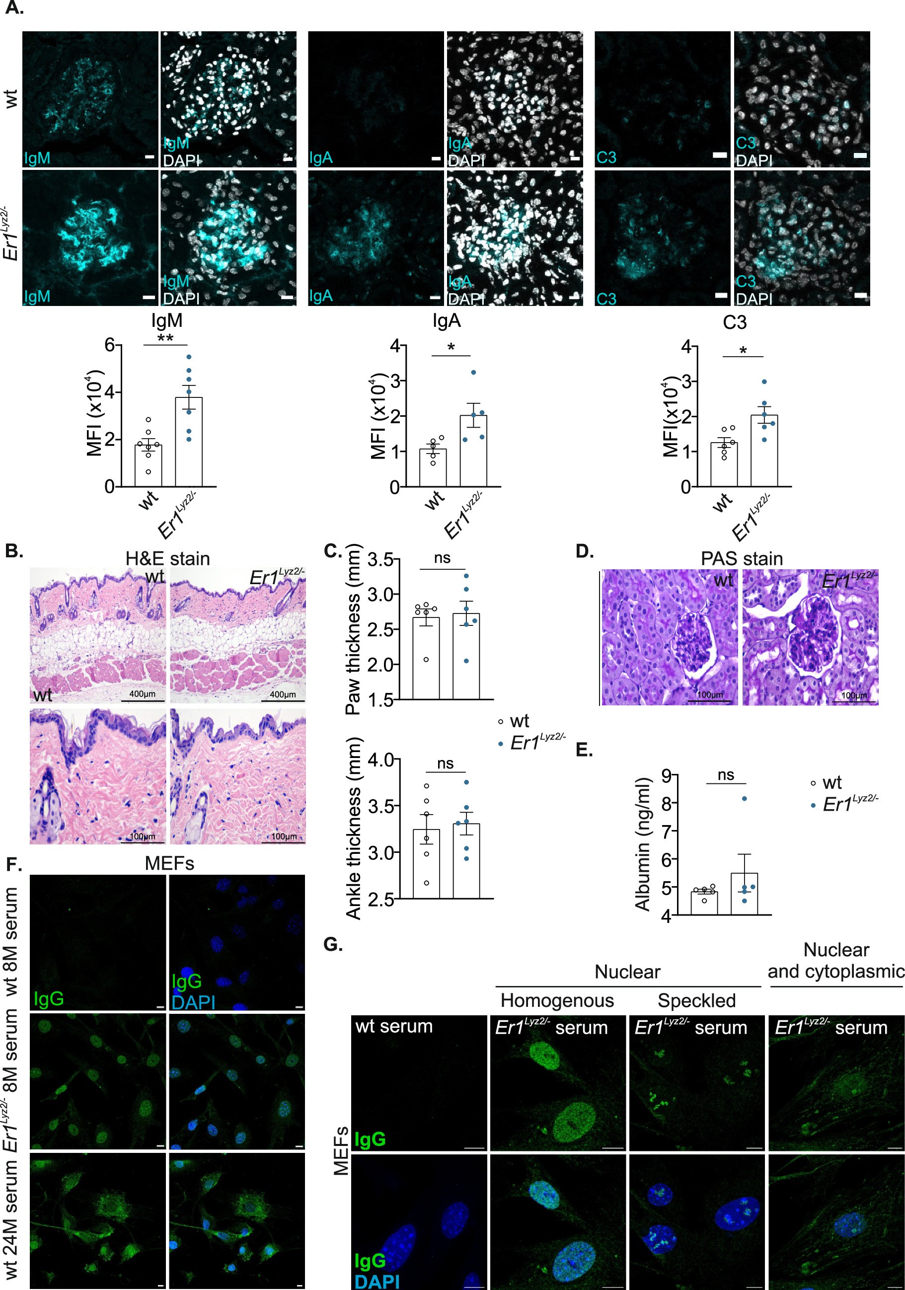Extended Data Fig. 1