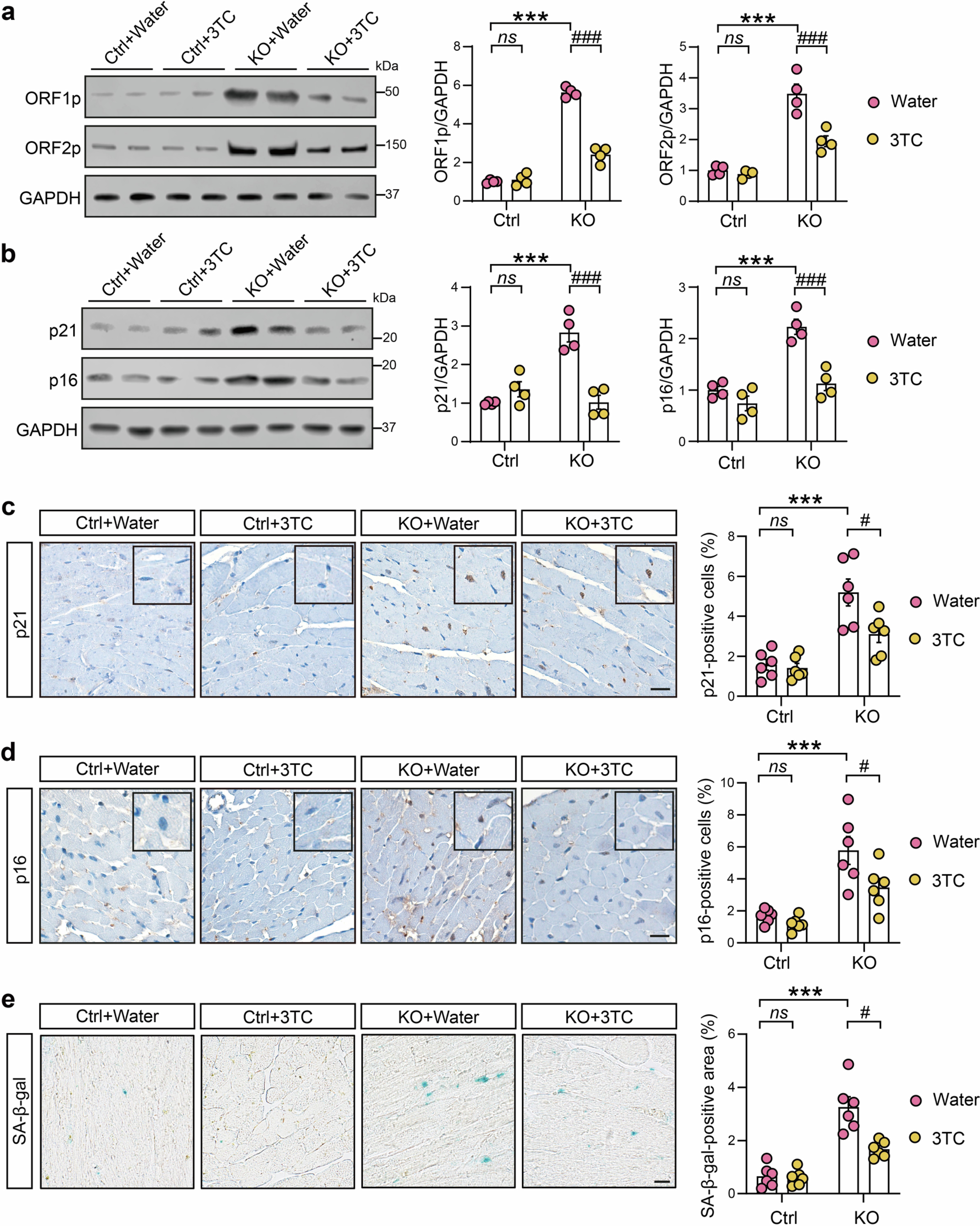 Extended Data Fig. 9