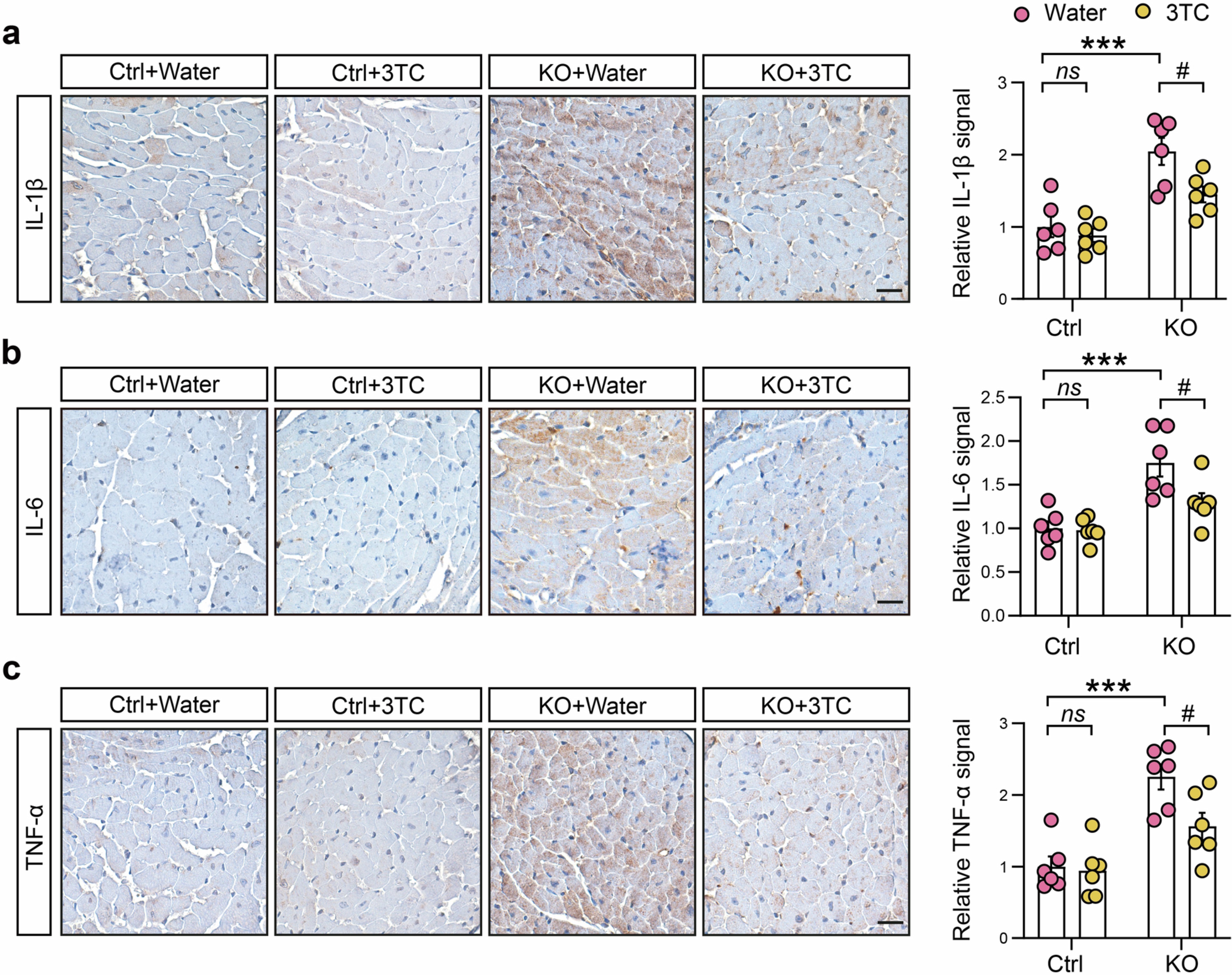 Extended Data Fig. 10
