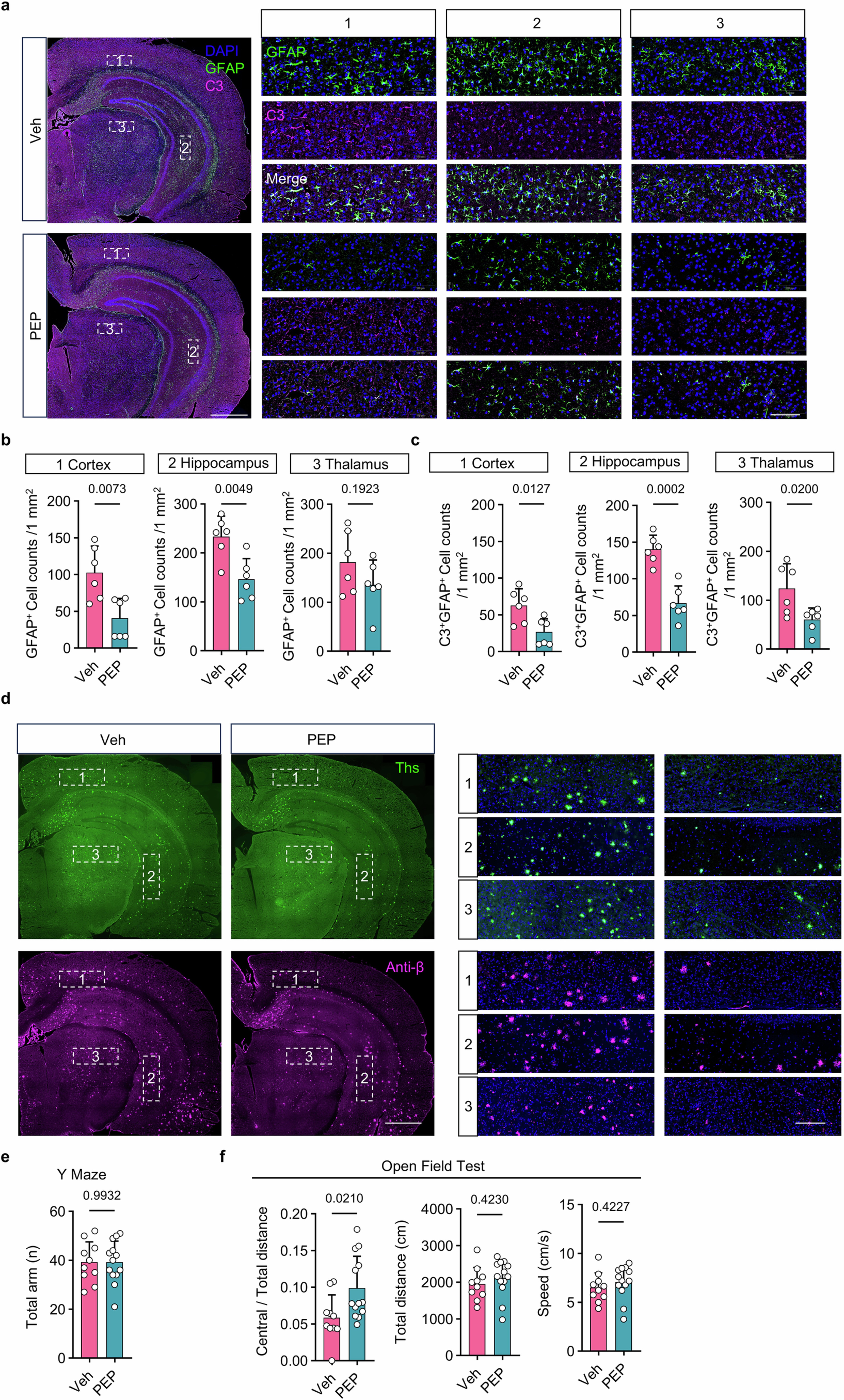 Extended Data Fig. 5: PEP supplement ameliorates the pathology of 5×FAD mice.