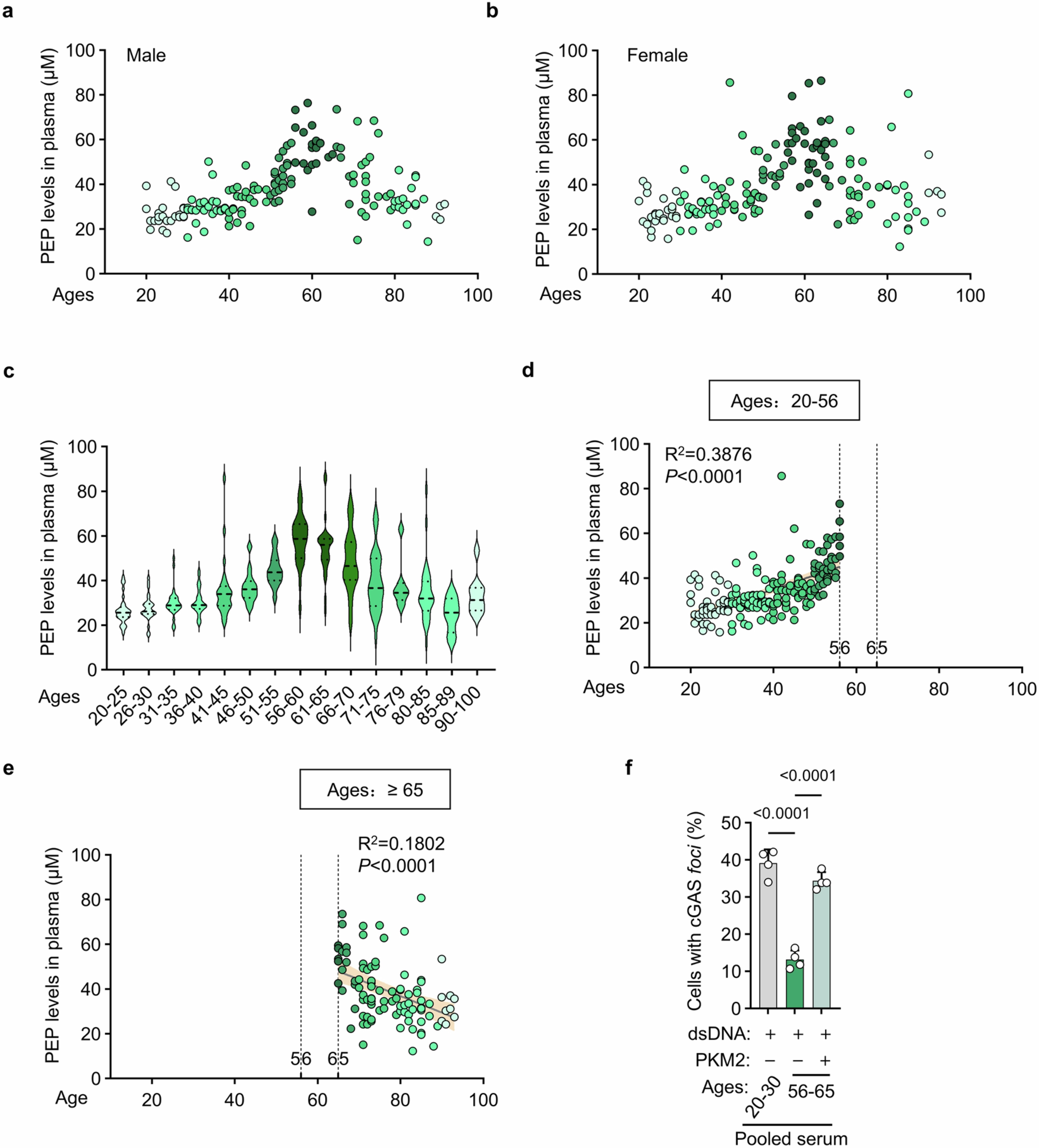 Extended Data Fig. 6: Tendency of PEP in human blood and its effect on the activation of cGAS.