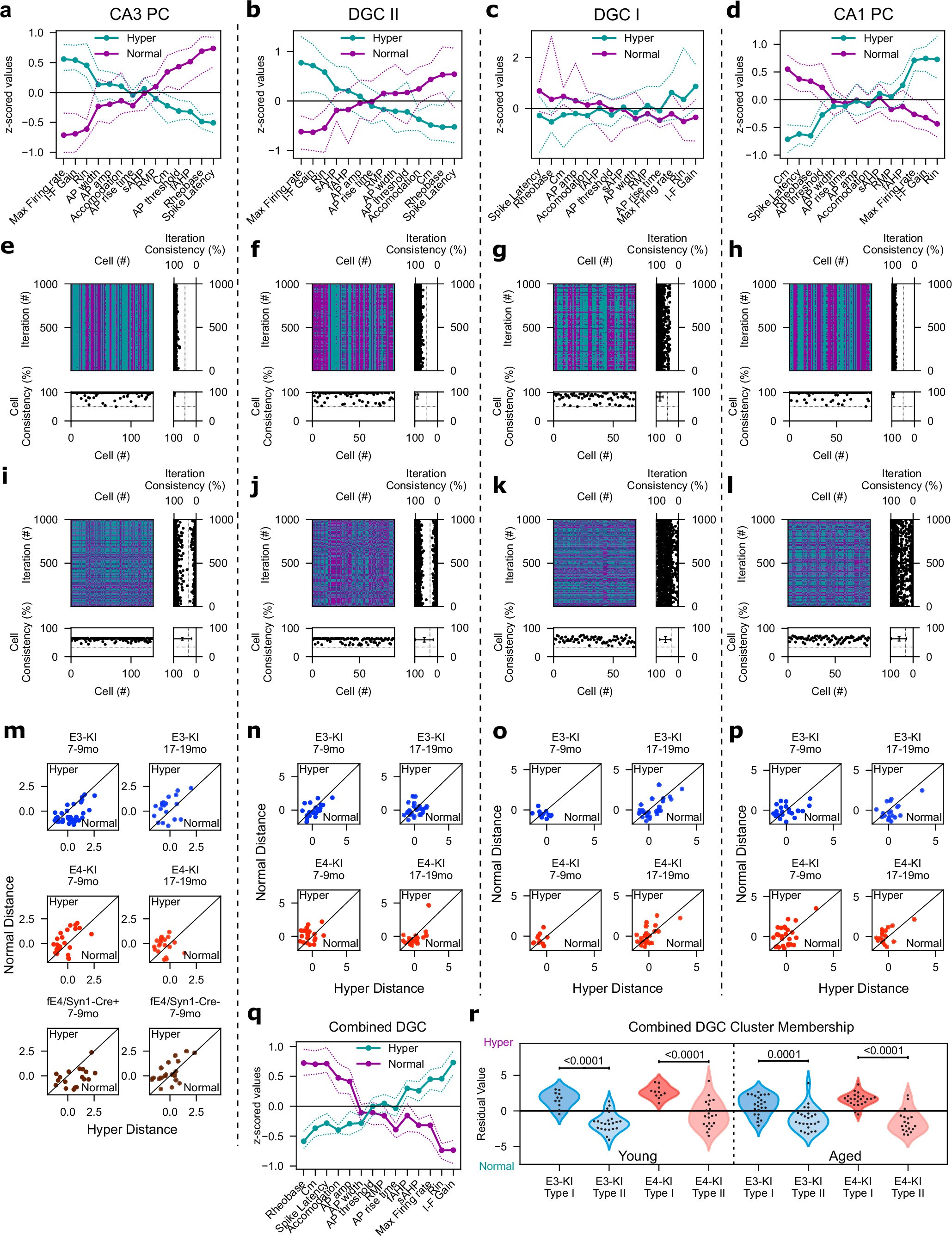 Extended Data Fig. 7: K-means clustering analysis of Type I DGC (DGC I), Type II DGC (DGC II), CA3 PCs, and CA1 PCs.
