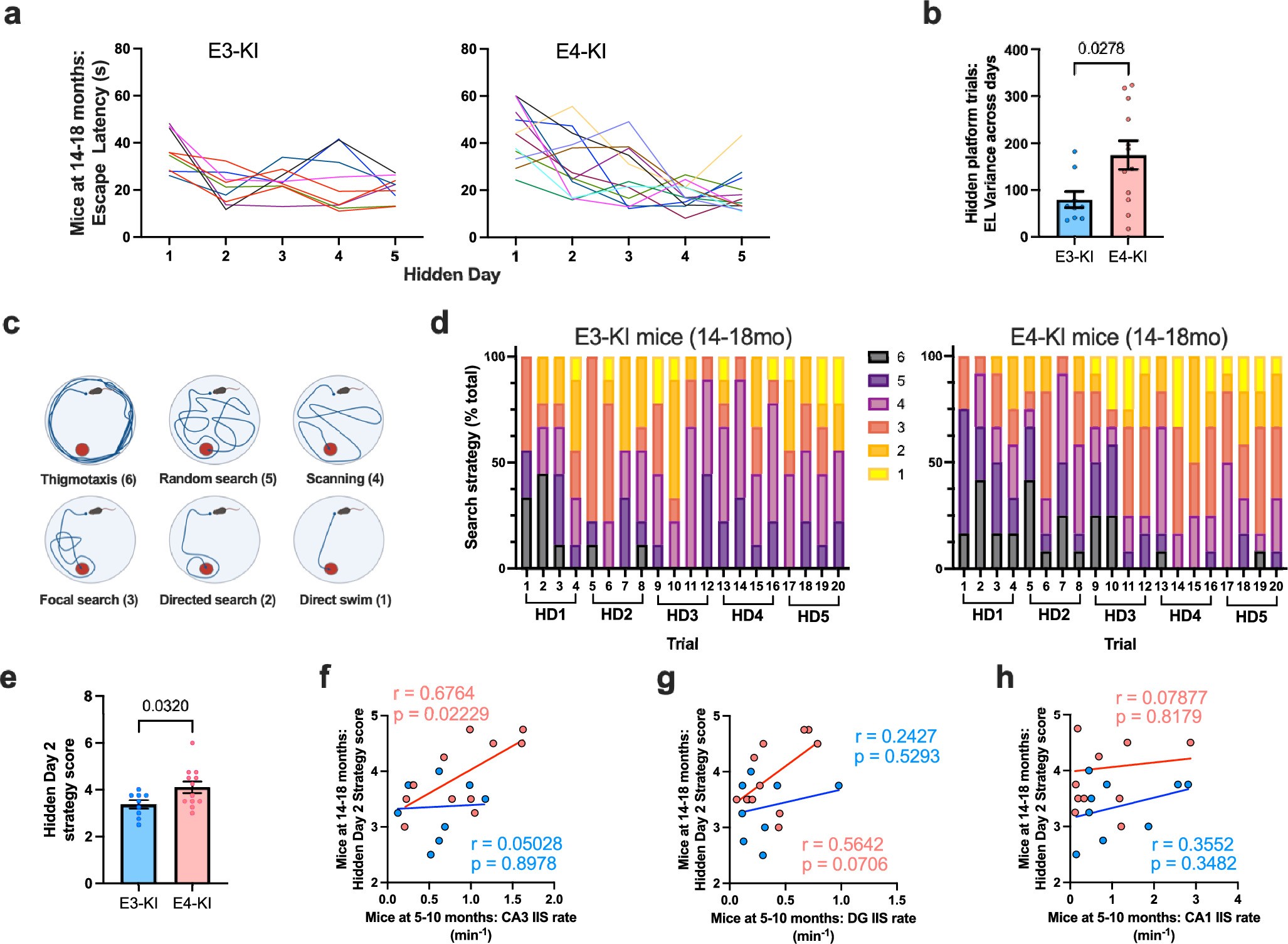 Extended Data Fig. 1: Age-dependent spatial learning and search strategy analysis in E4-KI and E3-KI mice.