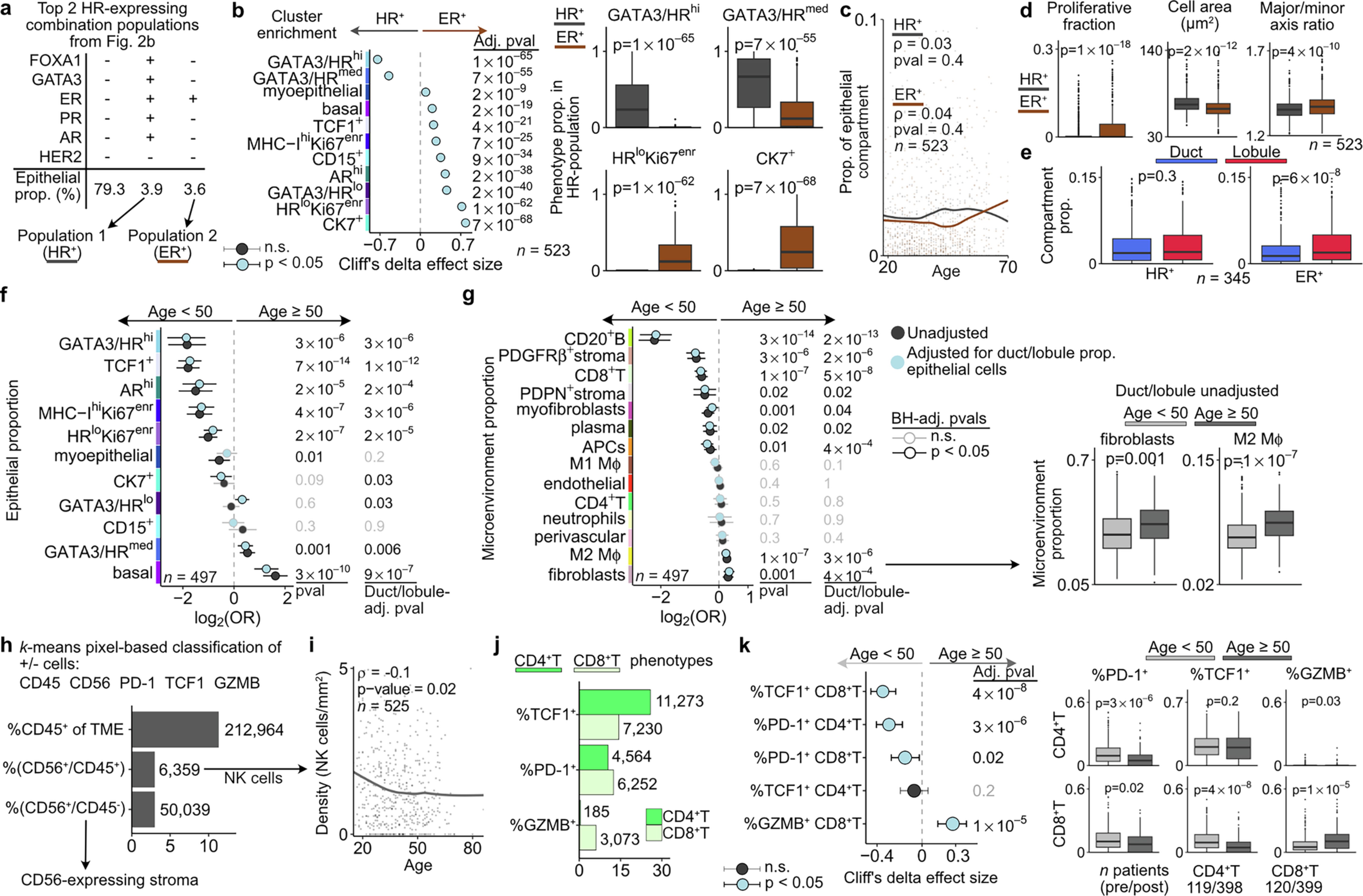 Extended Data Fig. 4: Combined analysis of ER+/FOXA1−/GATA3− cells, duct/lobule-adjusted phenotypes, and NK/T cell composition.