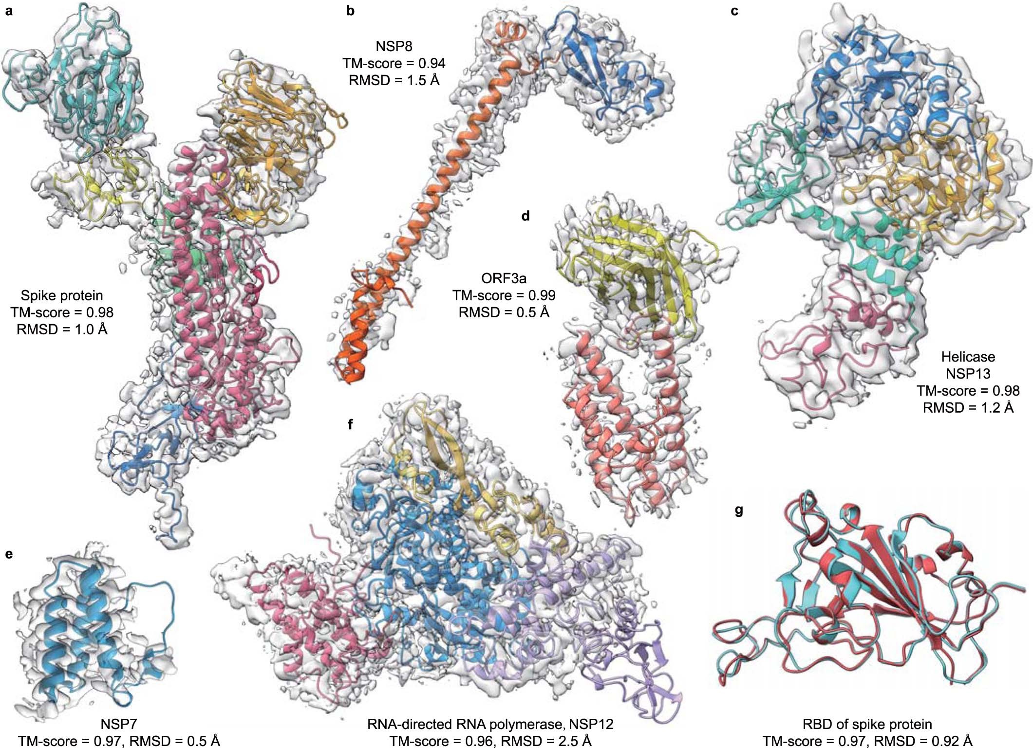 Extended Data Fig. 1