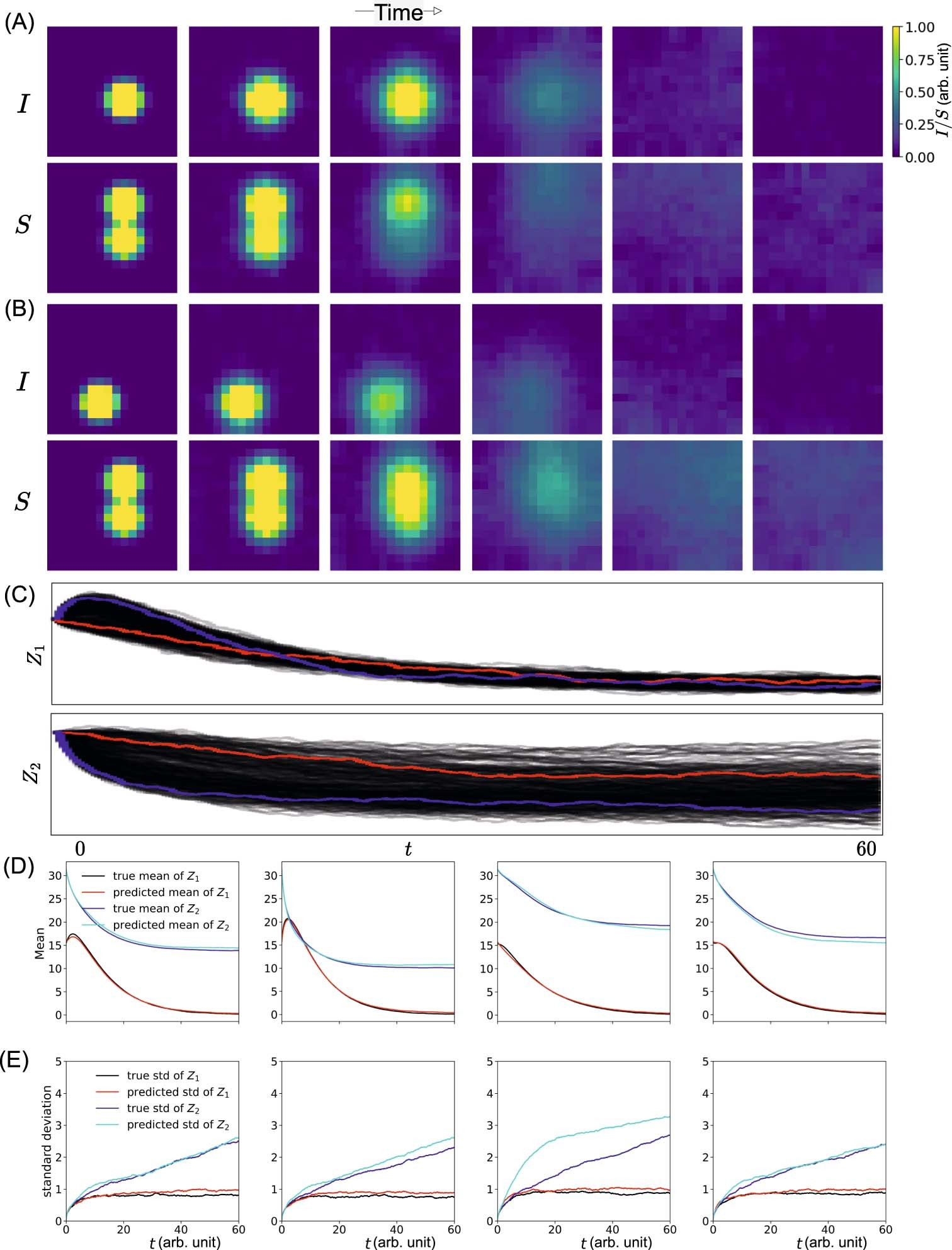Extended Data Fig. 1: Data visualization and prediction results.
