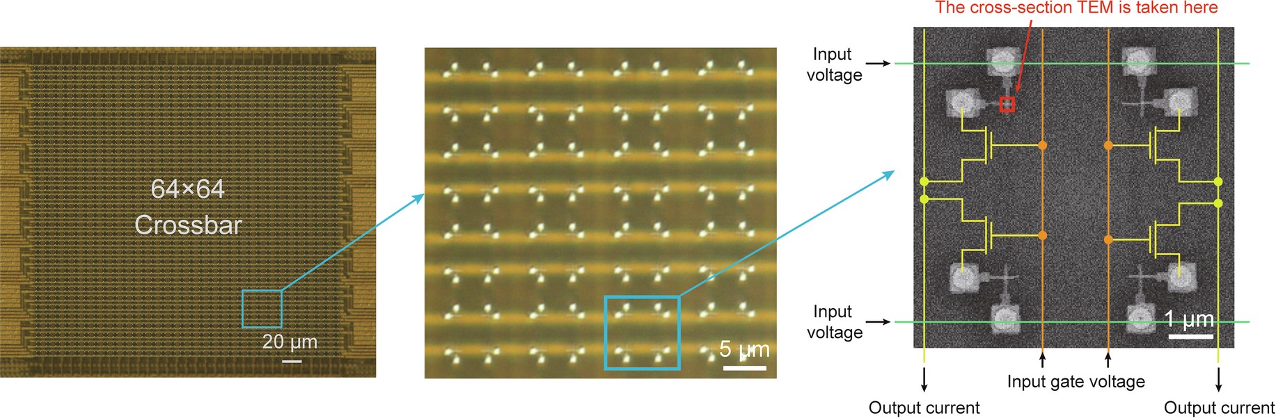 Extended Data Fig. 6