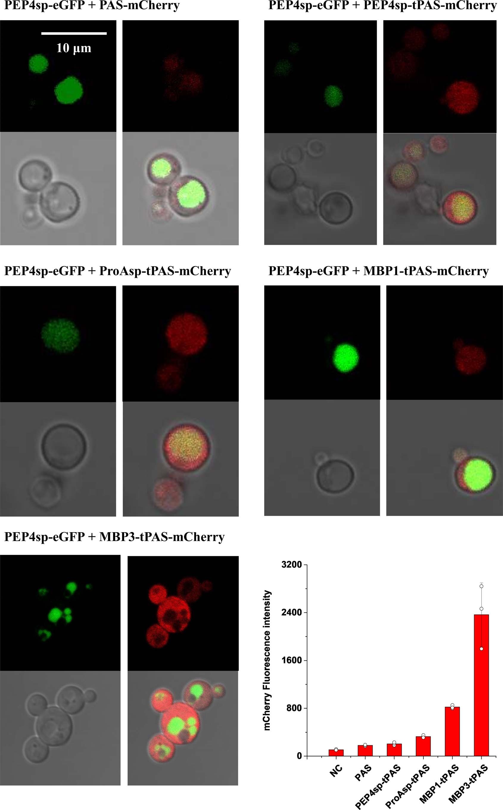 Extended Data Fig. 4