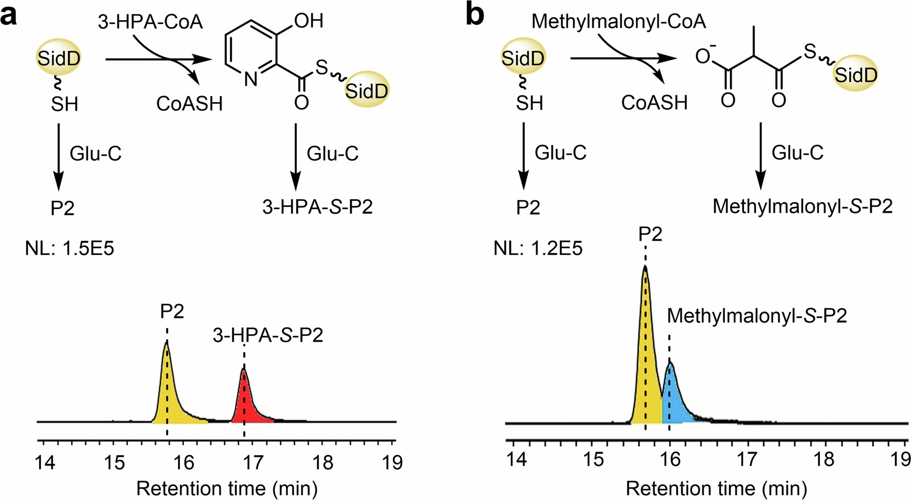 Extended Data Fig. 4