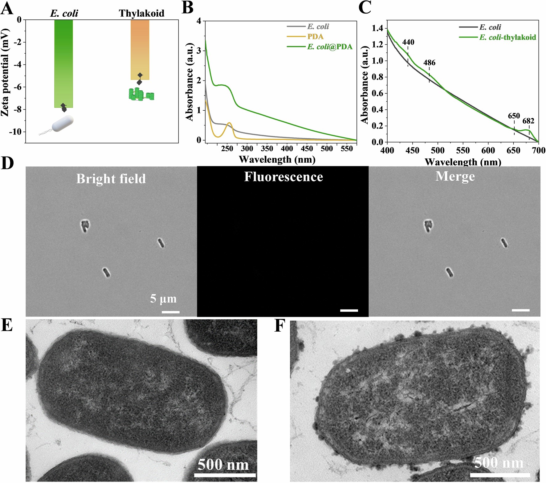 Extended Data Fig. 2