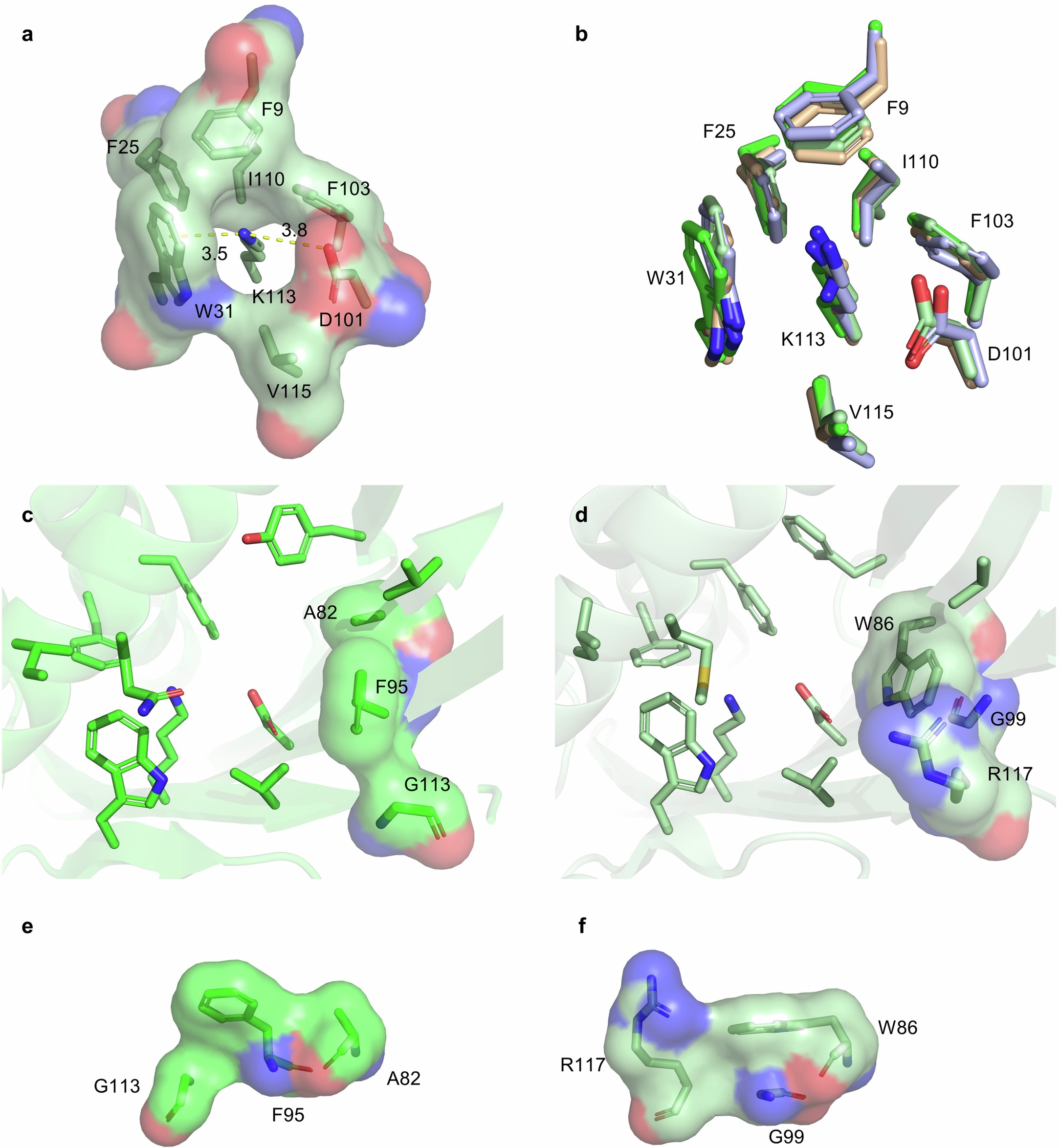 Extended Data Fig. 5: Highly conserved residues in these NTF2-like proteins.