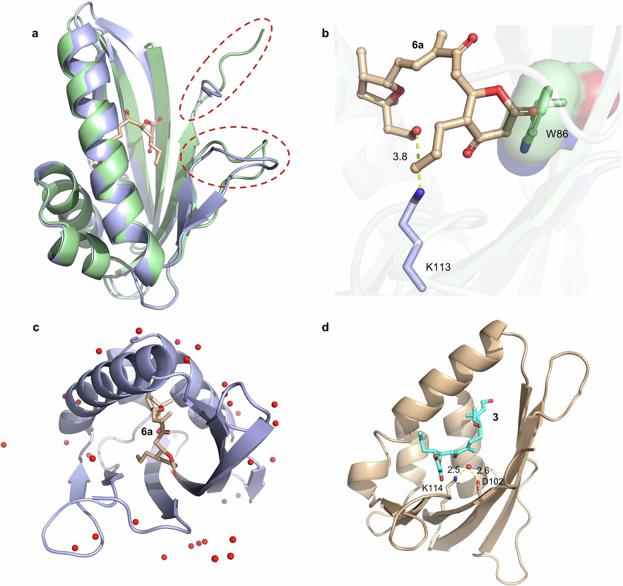 Extended Data Fig. 7: Comparation of CatM-6b, CatM-W86A-6a and SacM-3 crystal structures.