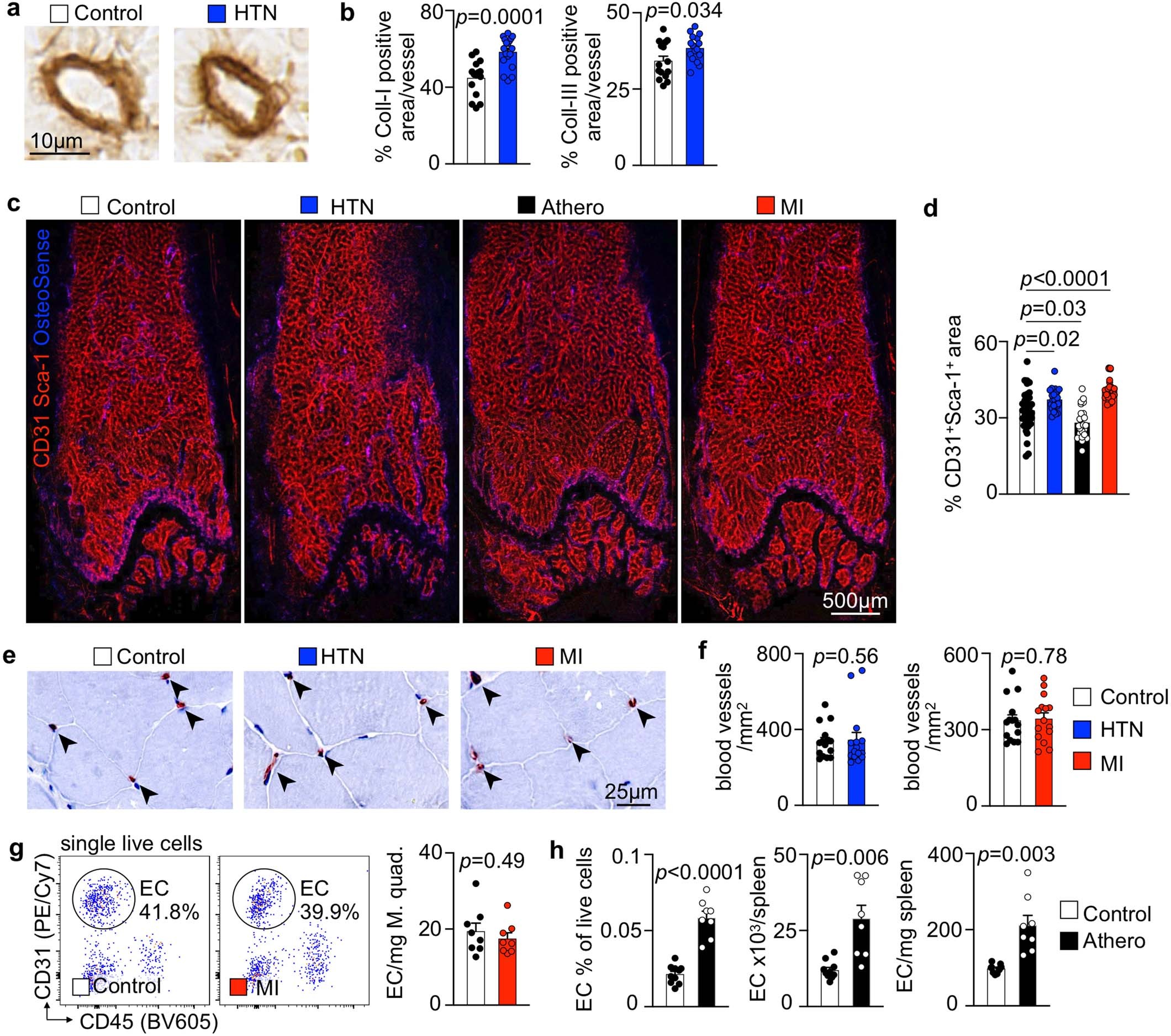 Extended Data Fig. 3