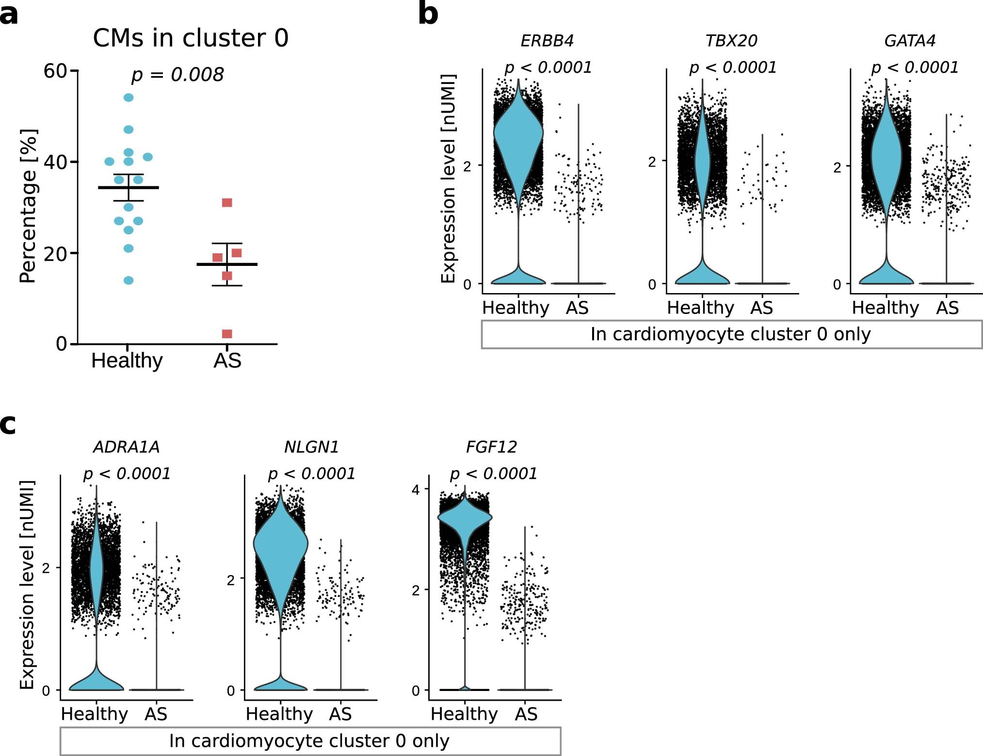 Extended Data Fig. 5: Cardiomyocyte sub-cluster 0 specific signatures.