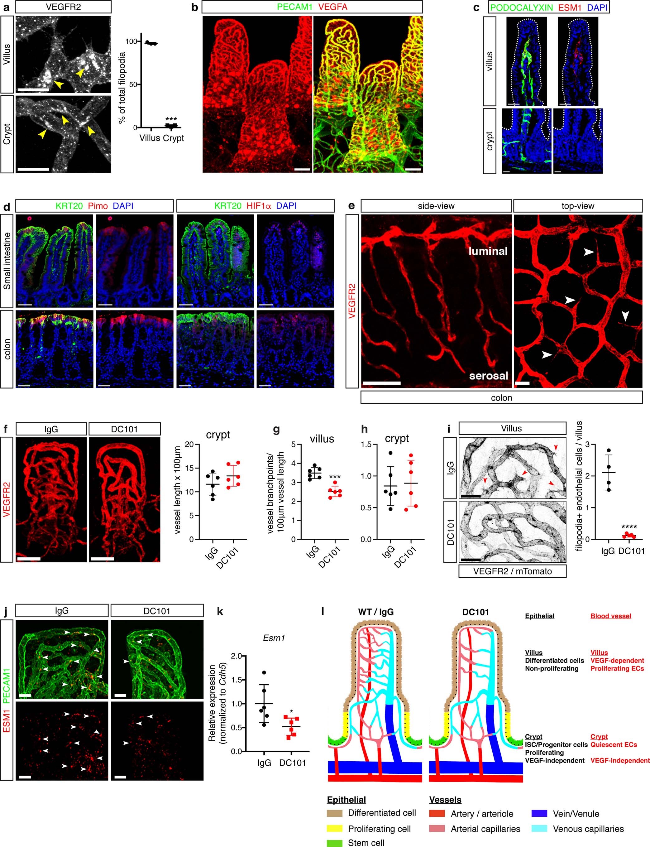 Extended Data Fig. 2