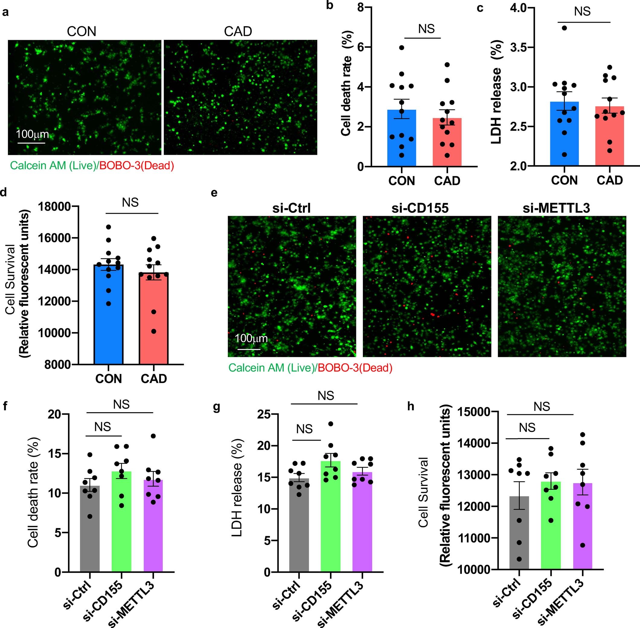 Extended Data Fig. 5