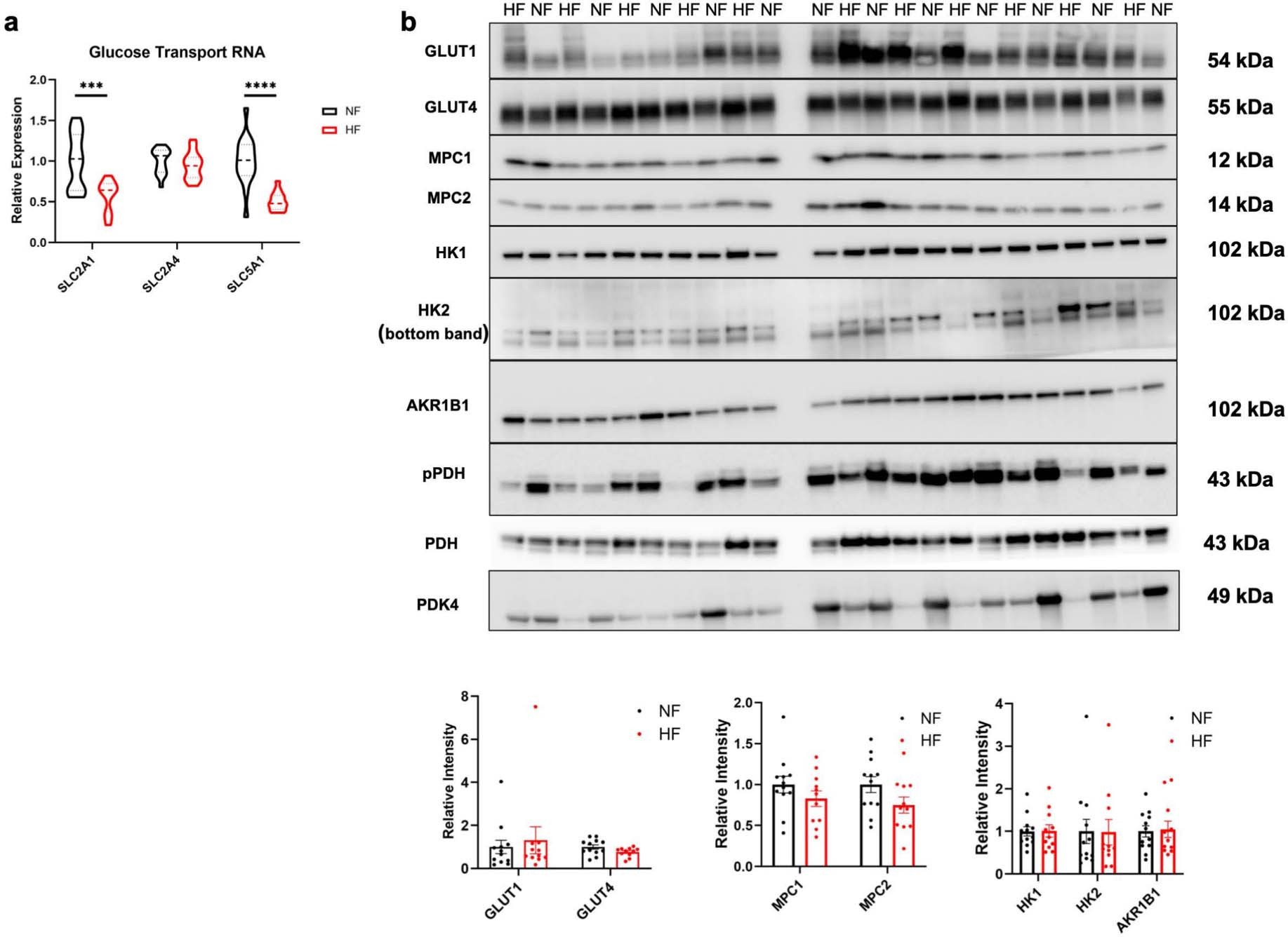 Extended Data Fig. 5