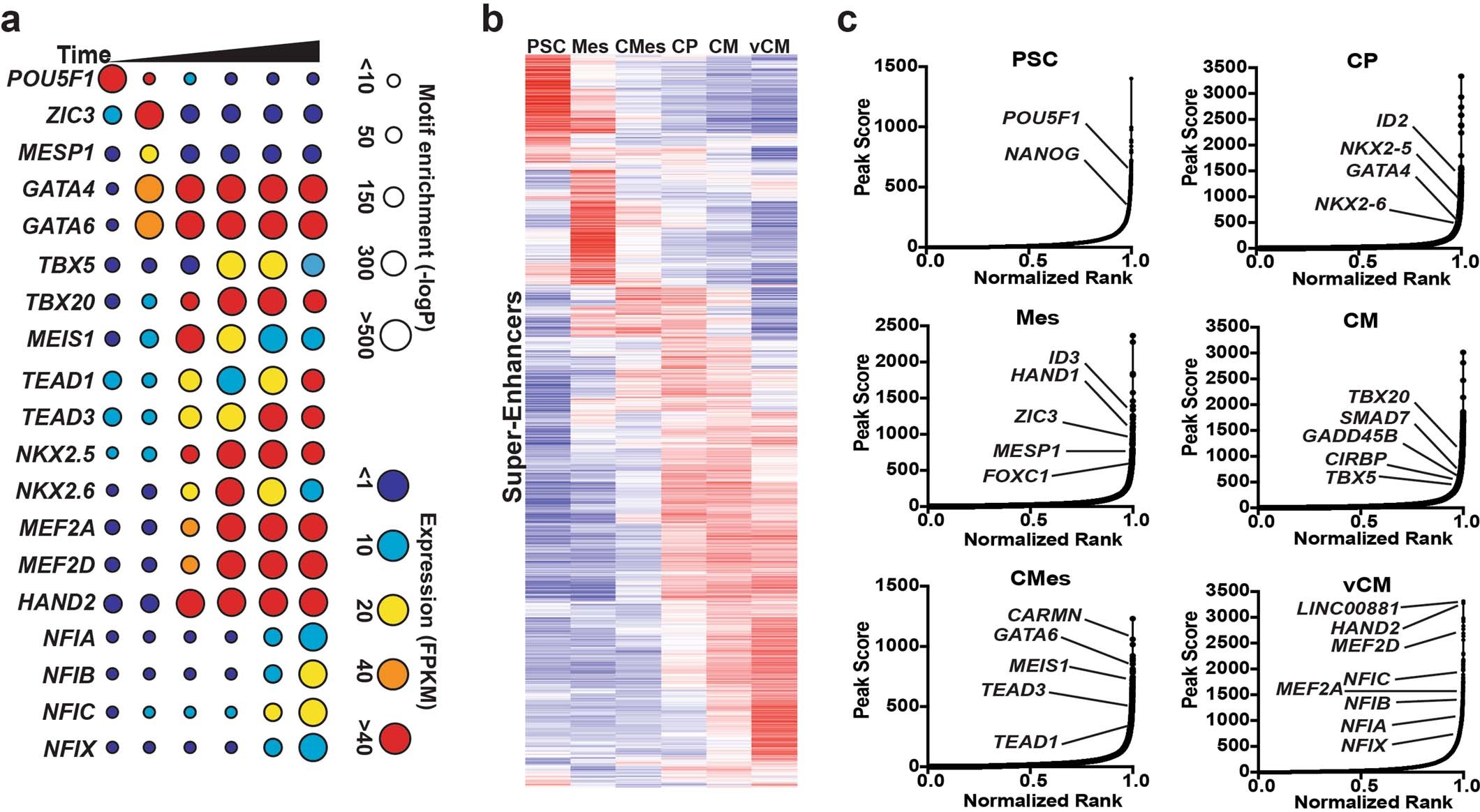 Extended Data Fig. 2: Integrative transcriptional and chromatin accessibility analysis identifies putative key cardiac regulators.