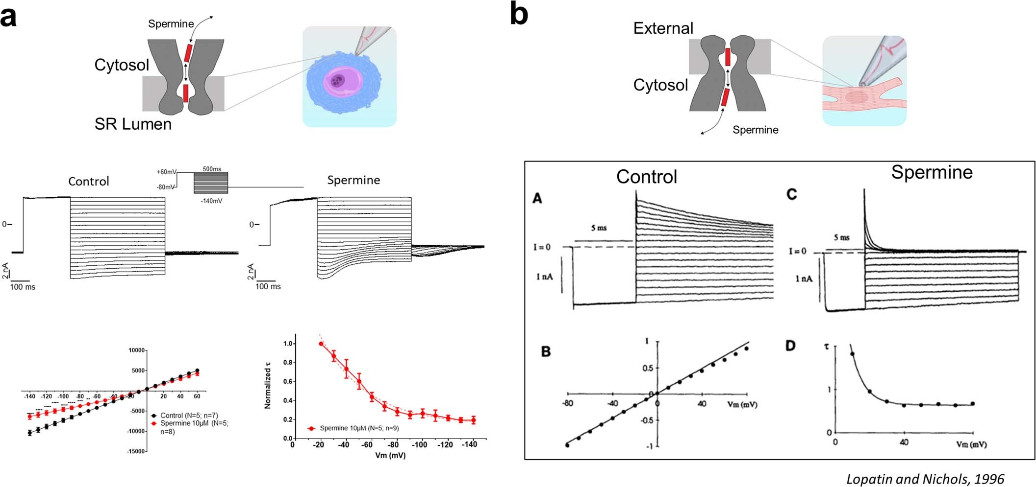 Extended Data Fig. 6