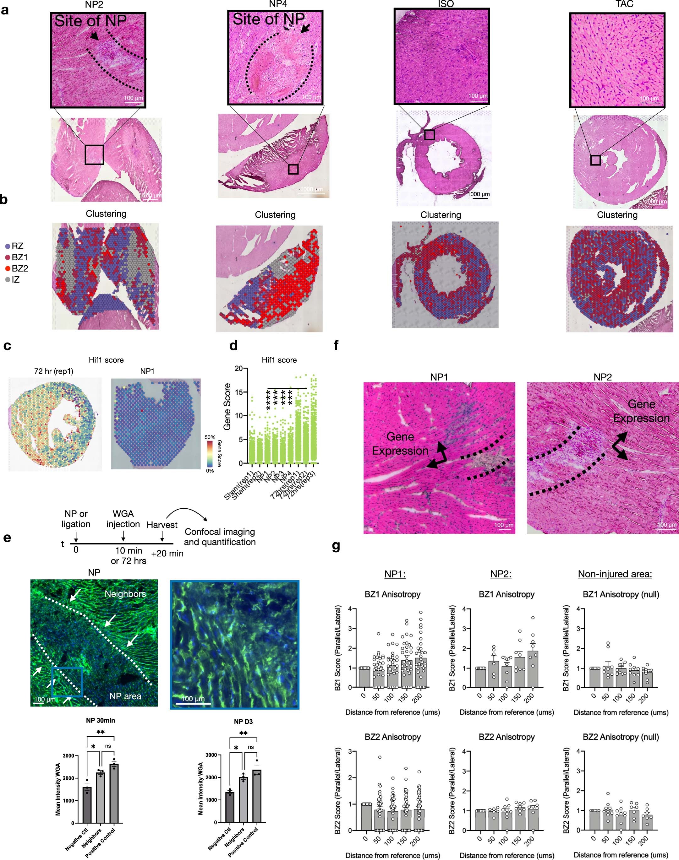 Extended Data Fig. 8