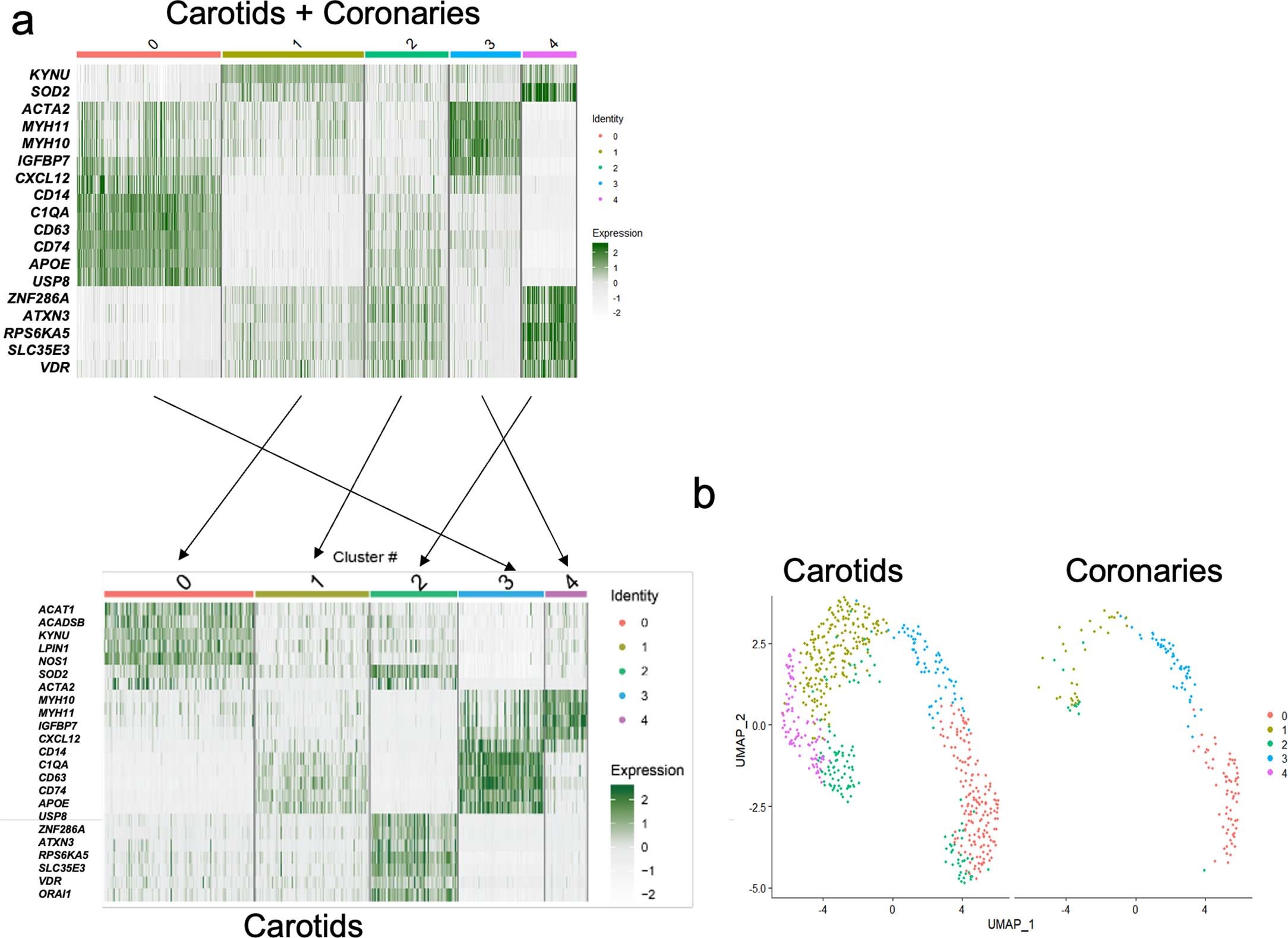 Extended Data Fig. 3