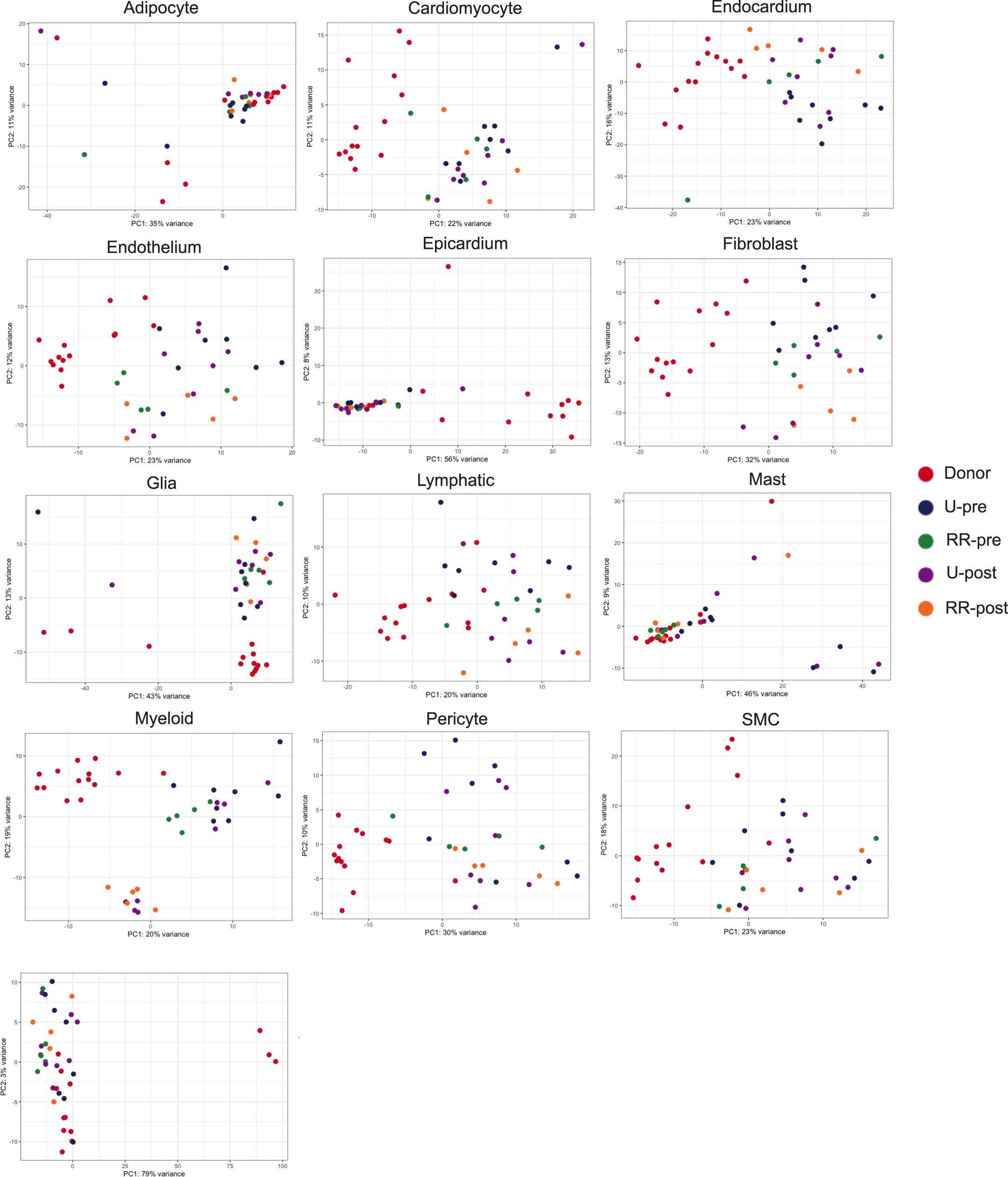Extended Data Fig. 5: Cell-specific pseudobulk analysis.