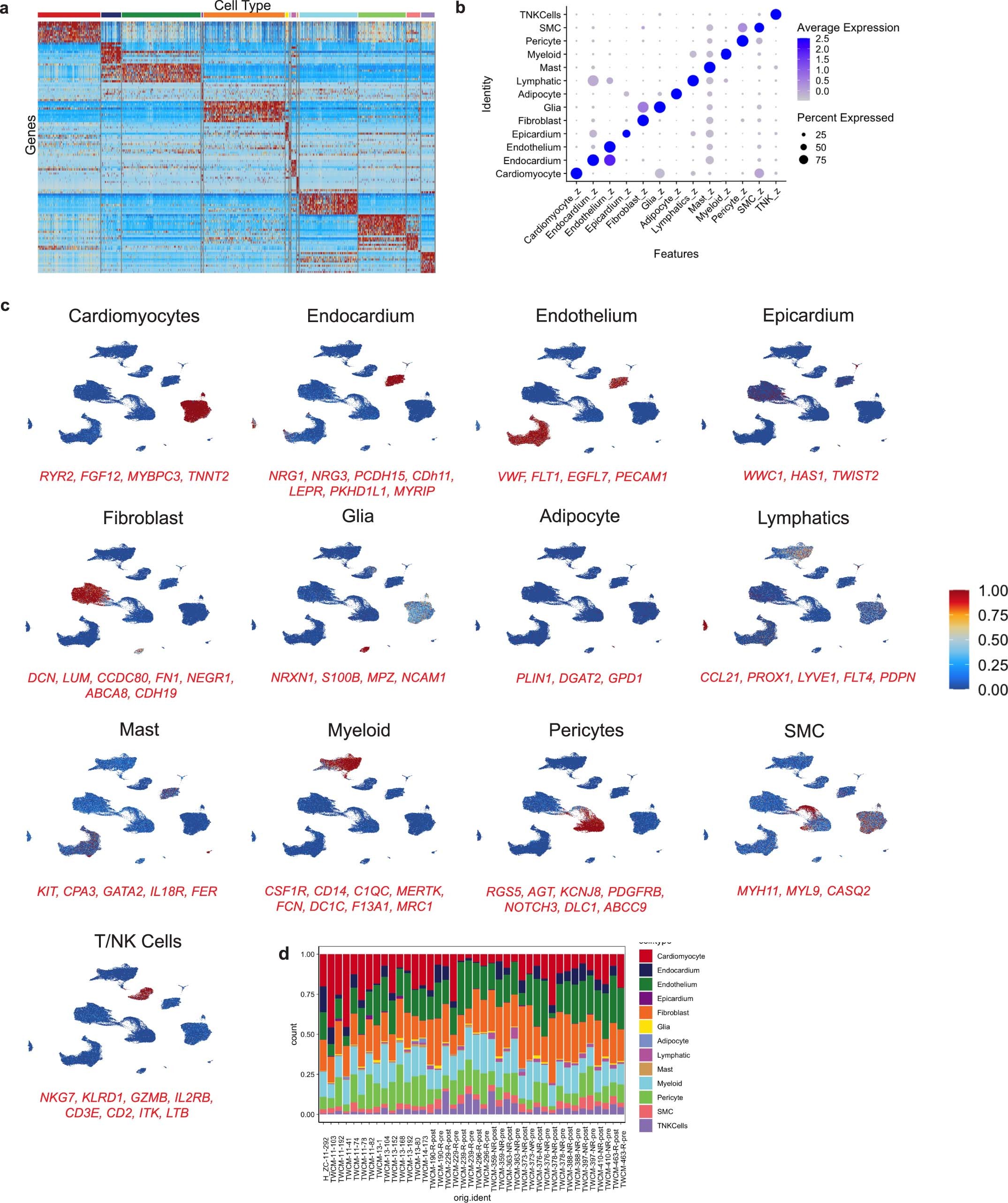 Extended Data Fig. 2: Global clustering.