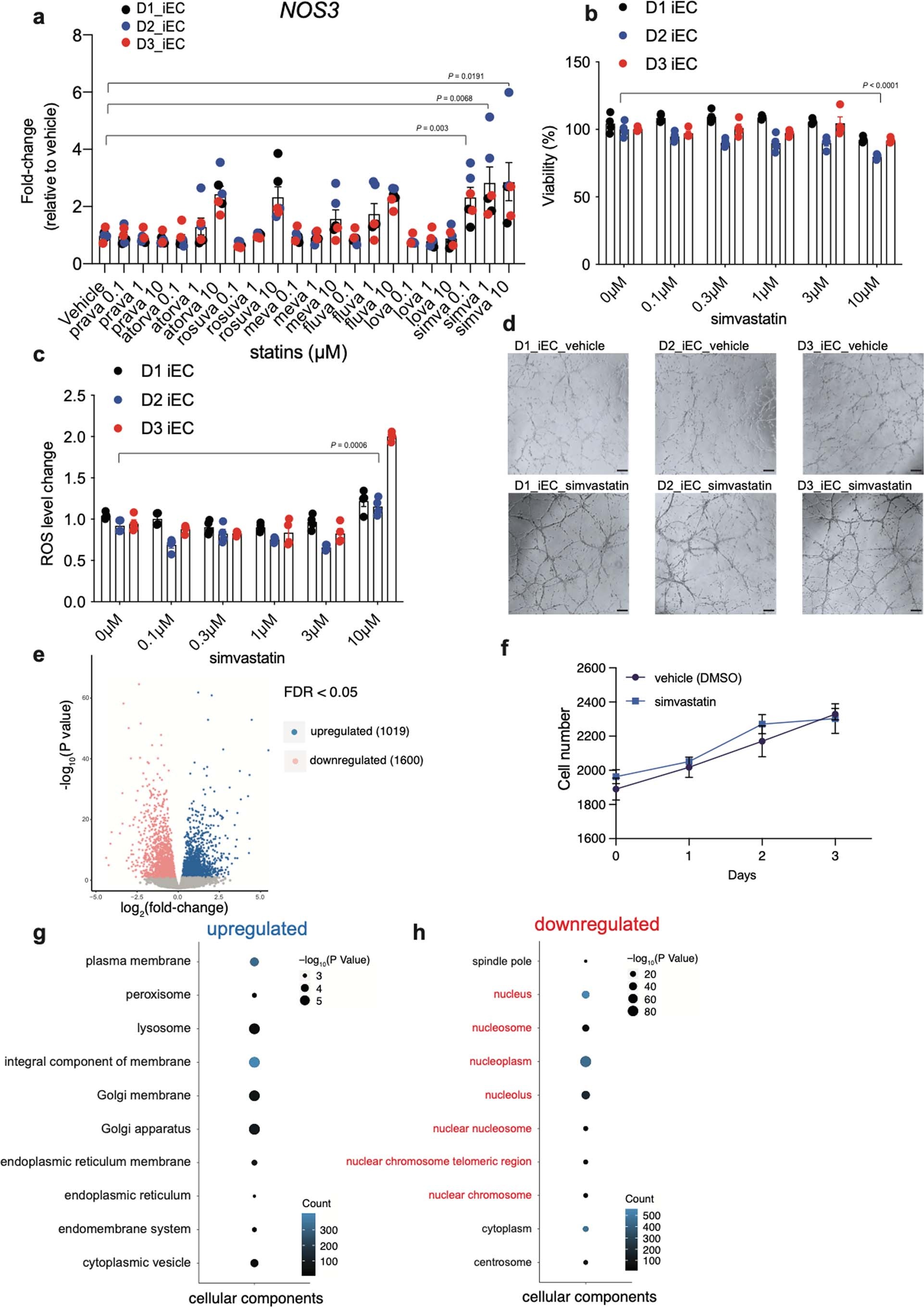 Extended Data Fig. 1: Statins improve endothelial function and alter epigenetic associated genes in iPSC-ECs.