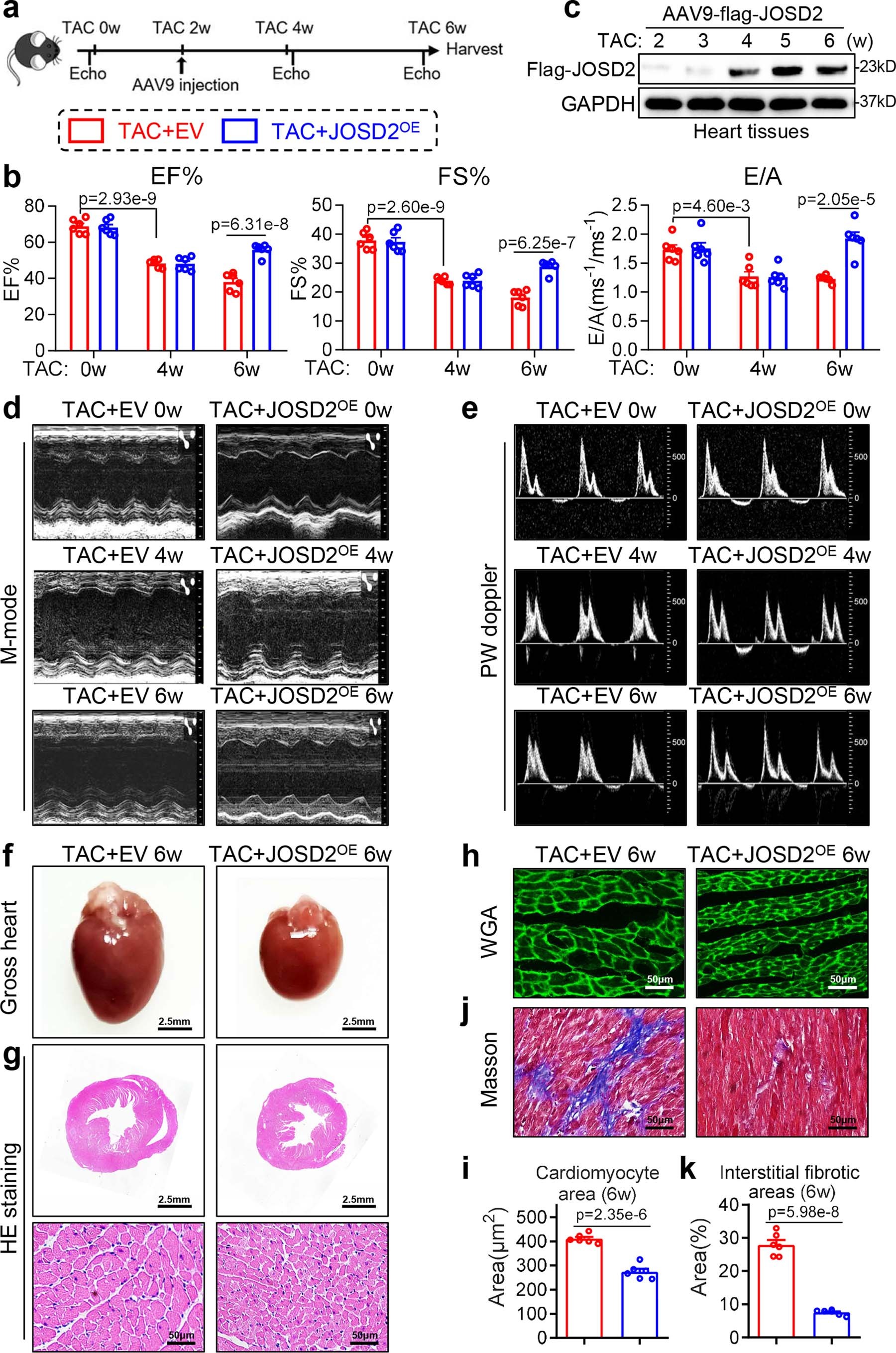 Extended Data Fig. 10
