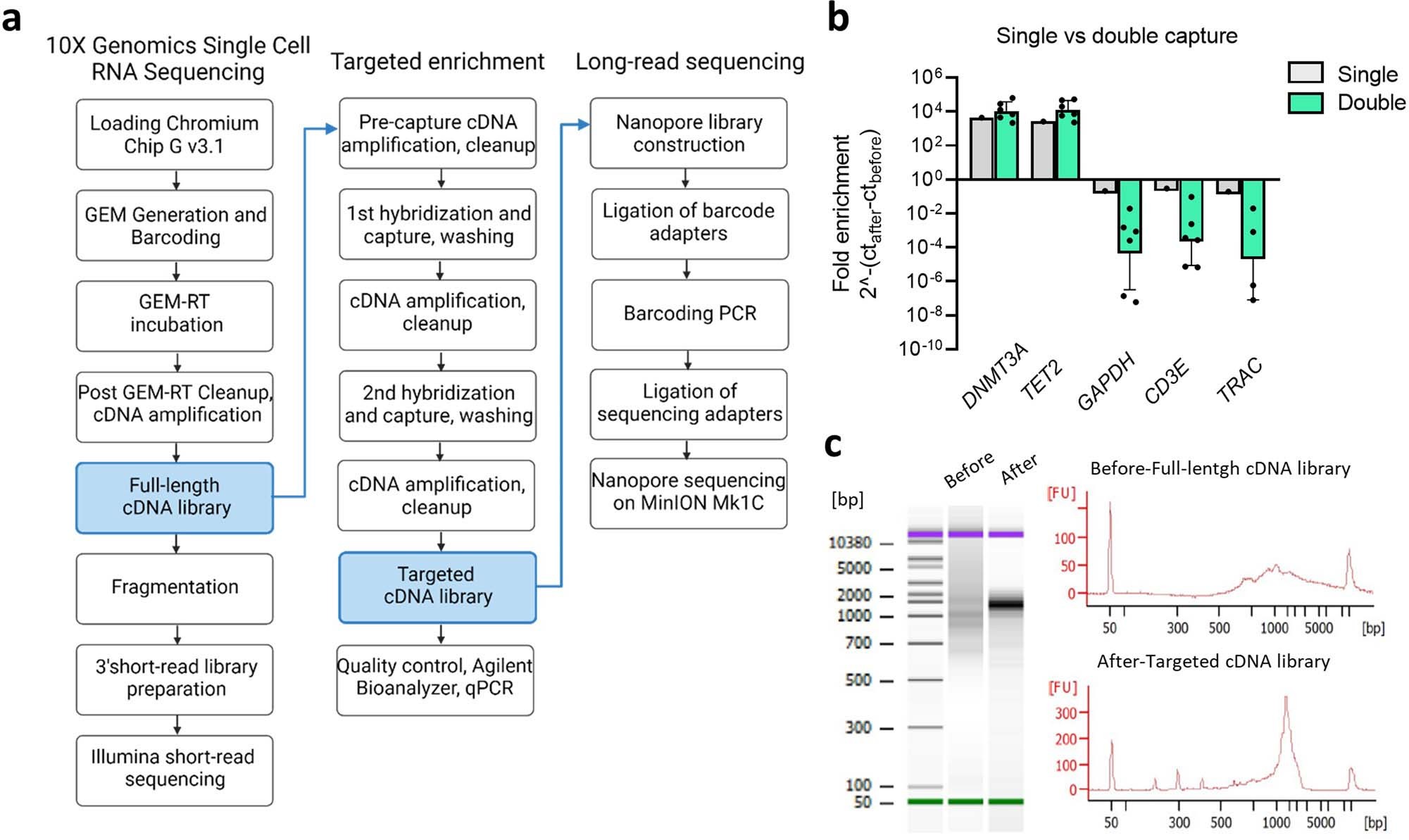 Extended Data Fig. 1