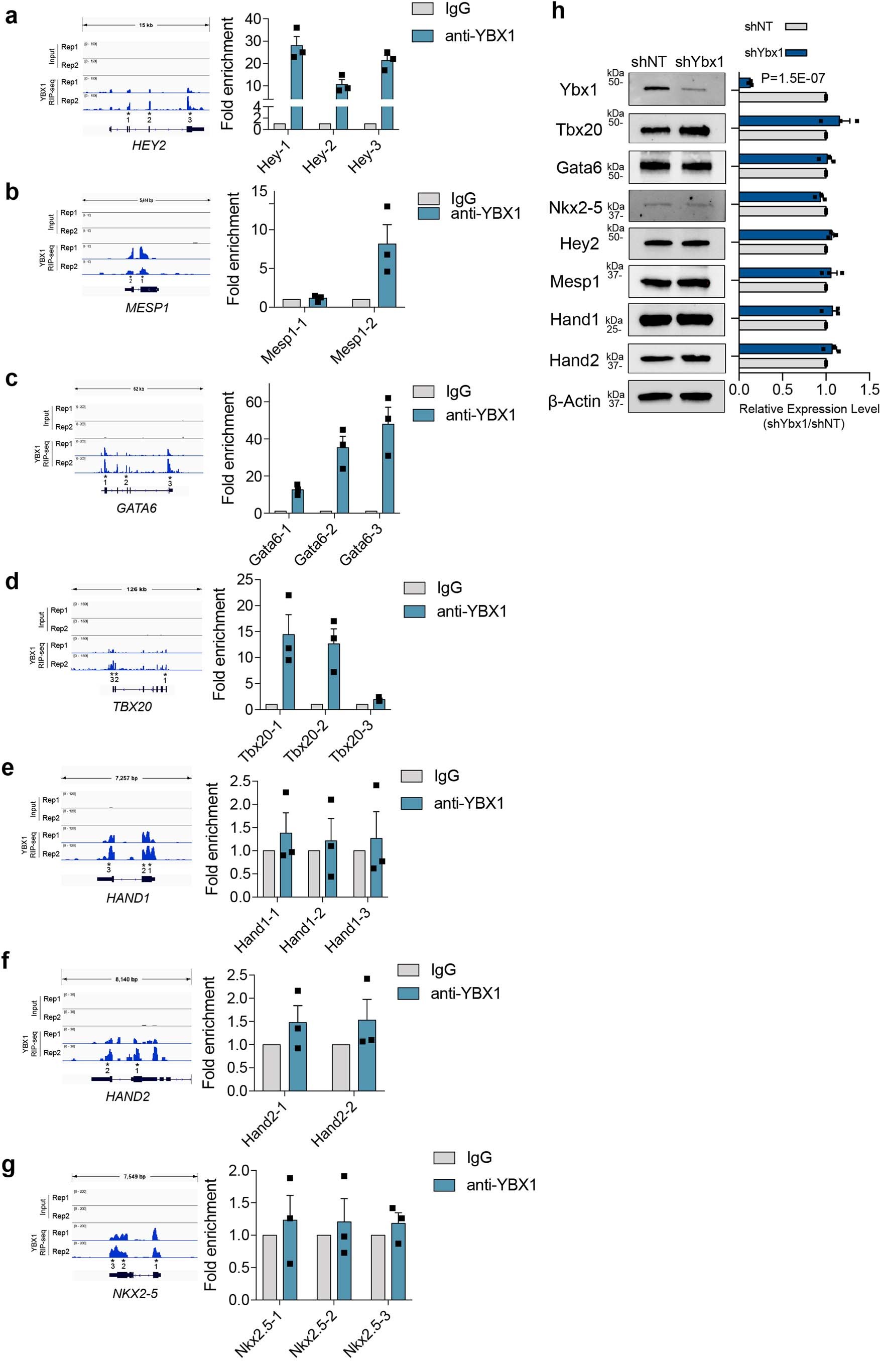 Extended Data Fig. 7